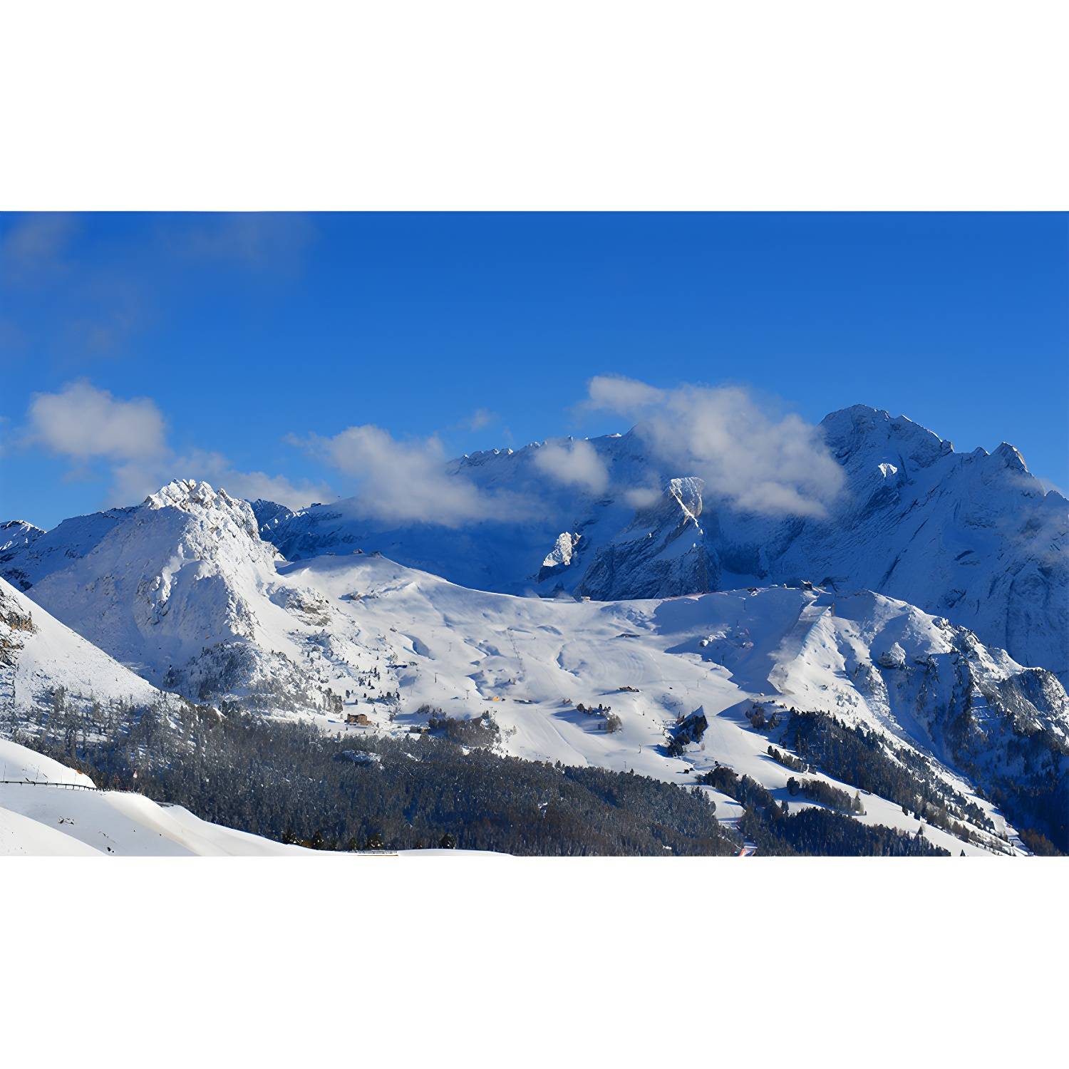 Imported image 2e6625a8dbad 4048573.jpg