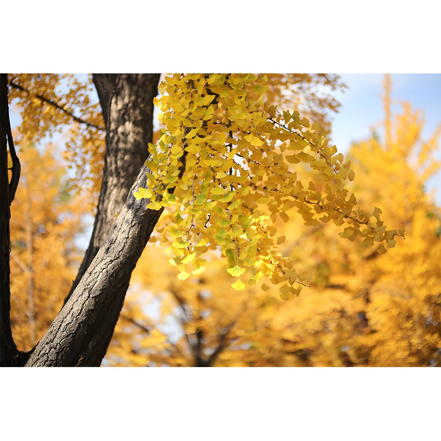Imported image a148b1998a34 4059626.jpg