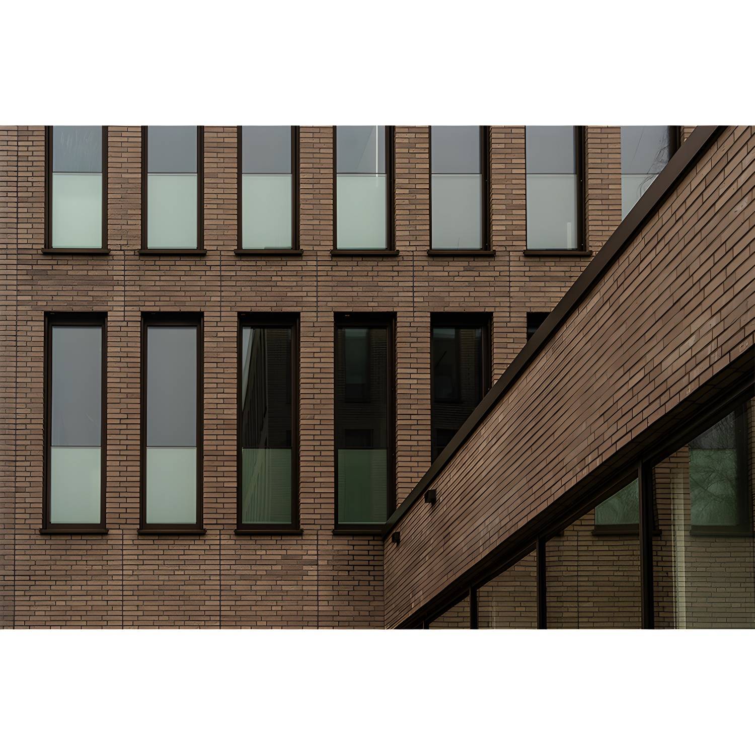 Imported image ed1d55bd87ff 4059770.jpg