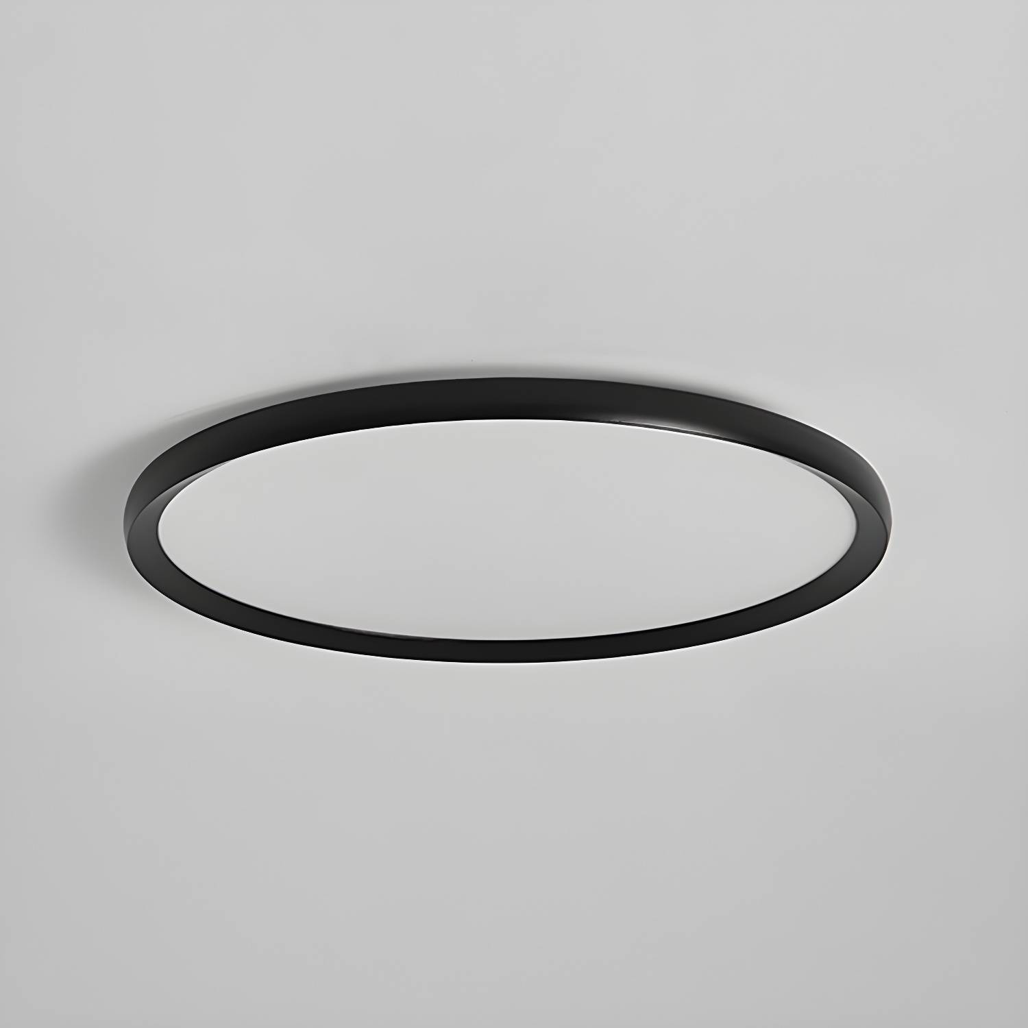 Imported image 51b06fee53e4 4064640.jpg