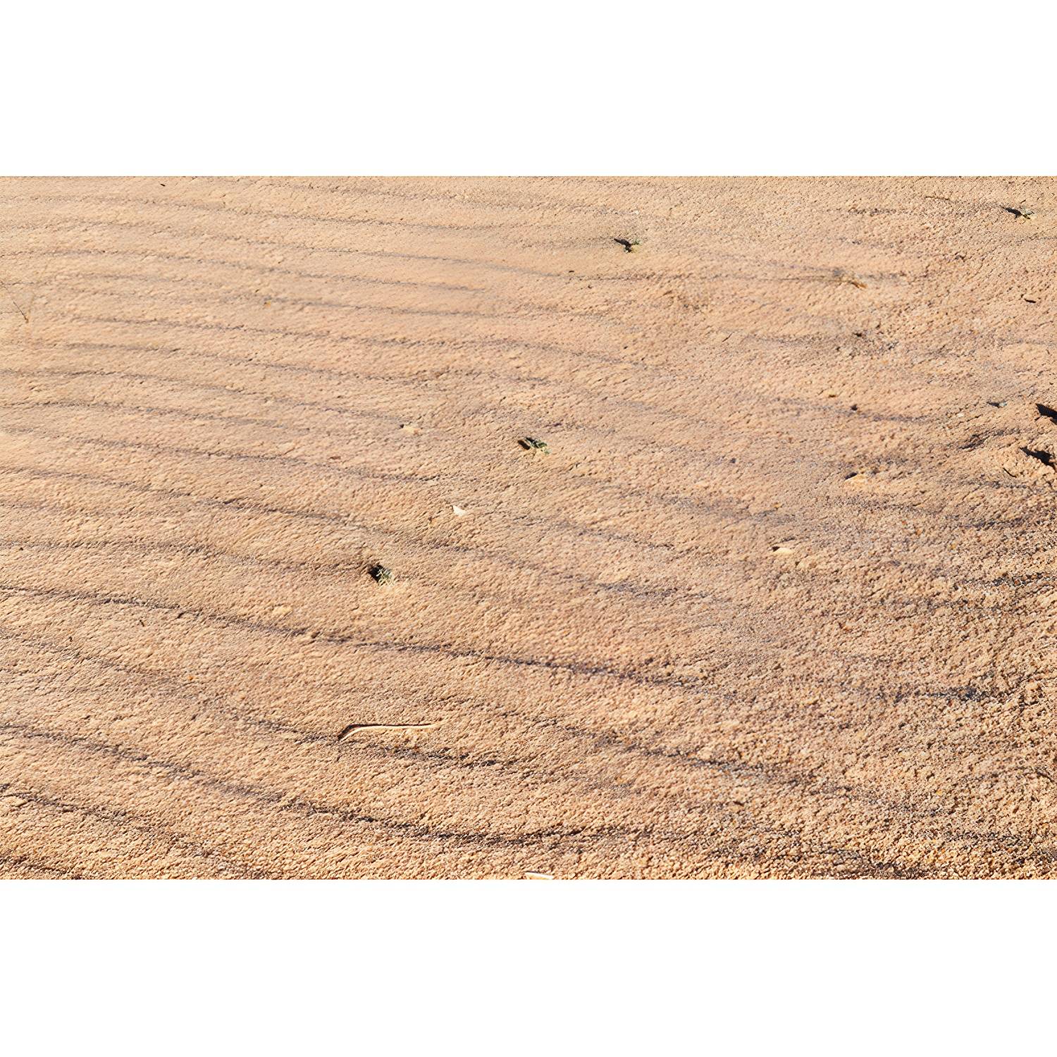 Imported image 192184d57c82 4079742.jpg
