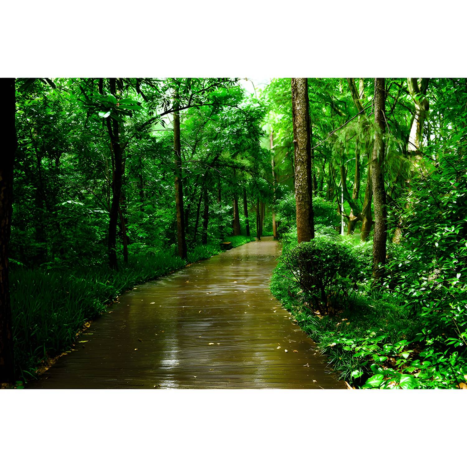 Imported image b2ad27dde84e 4081159.jpg
