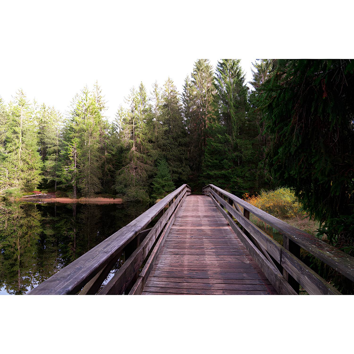 Imported image 10ea9acbe901 4081177.jpg