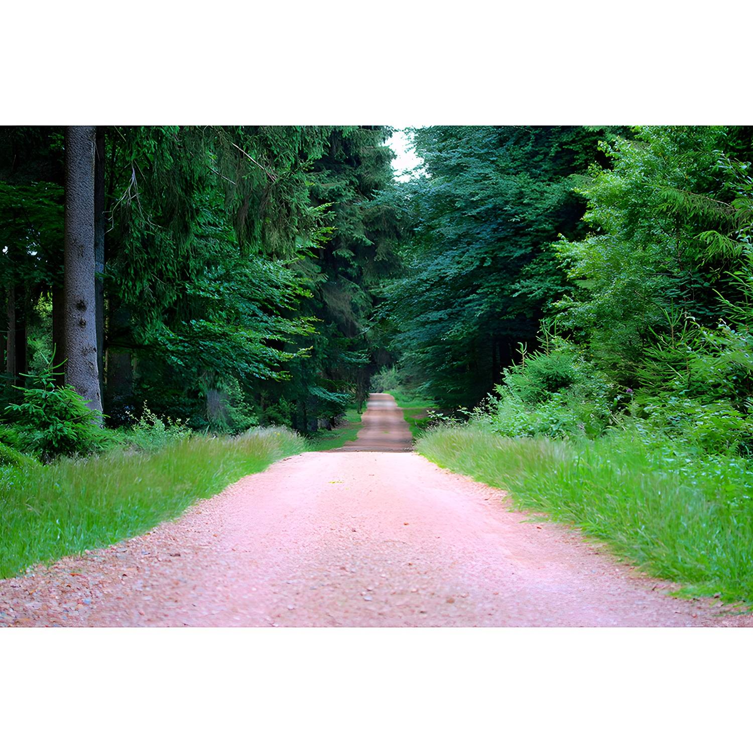 Imported image ffadd30a04eb 4081244.jpg
