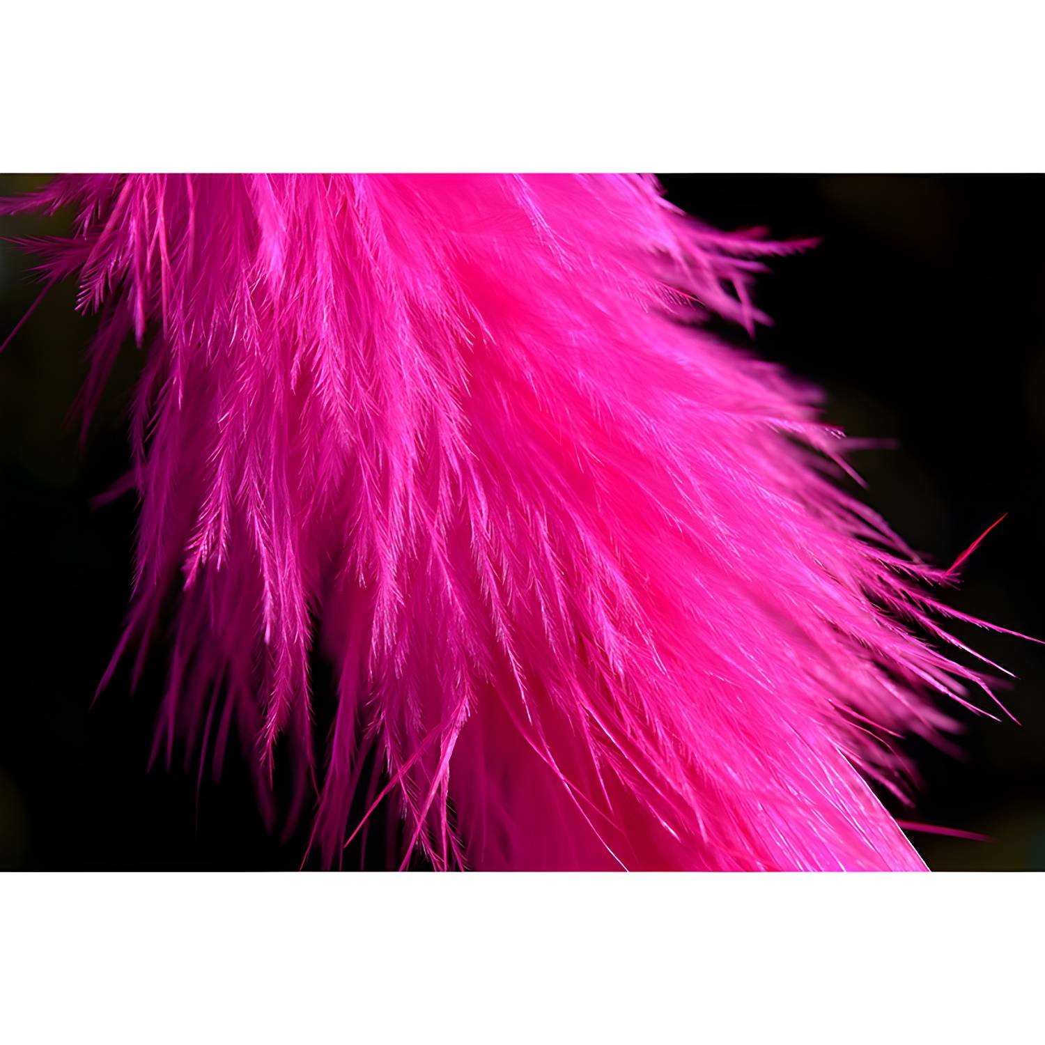 Imported image 509c79949ebb 4142323.jpg