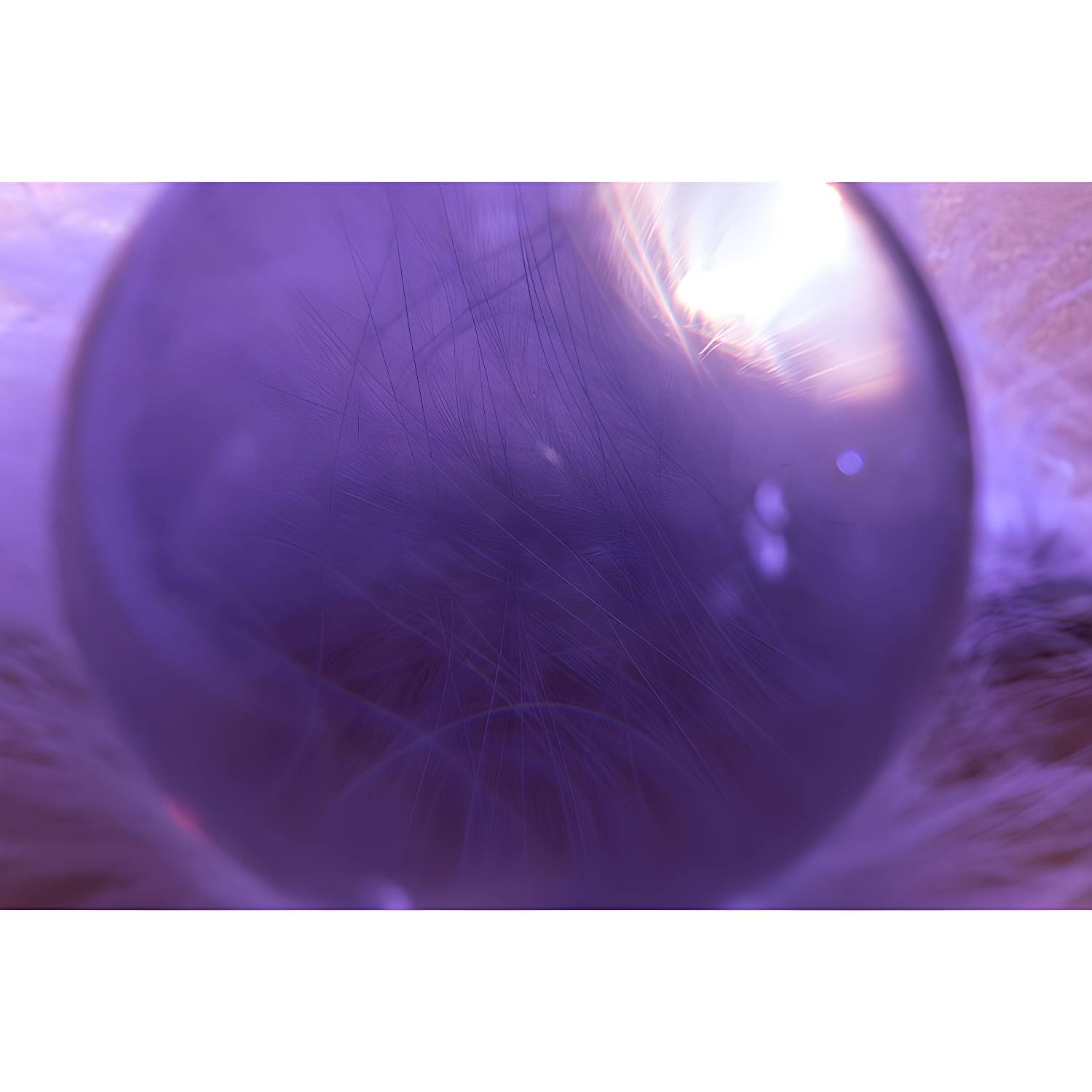 Imported image 82a1a46b7092 4142327.jpg