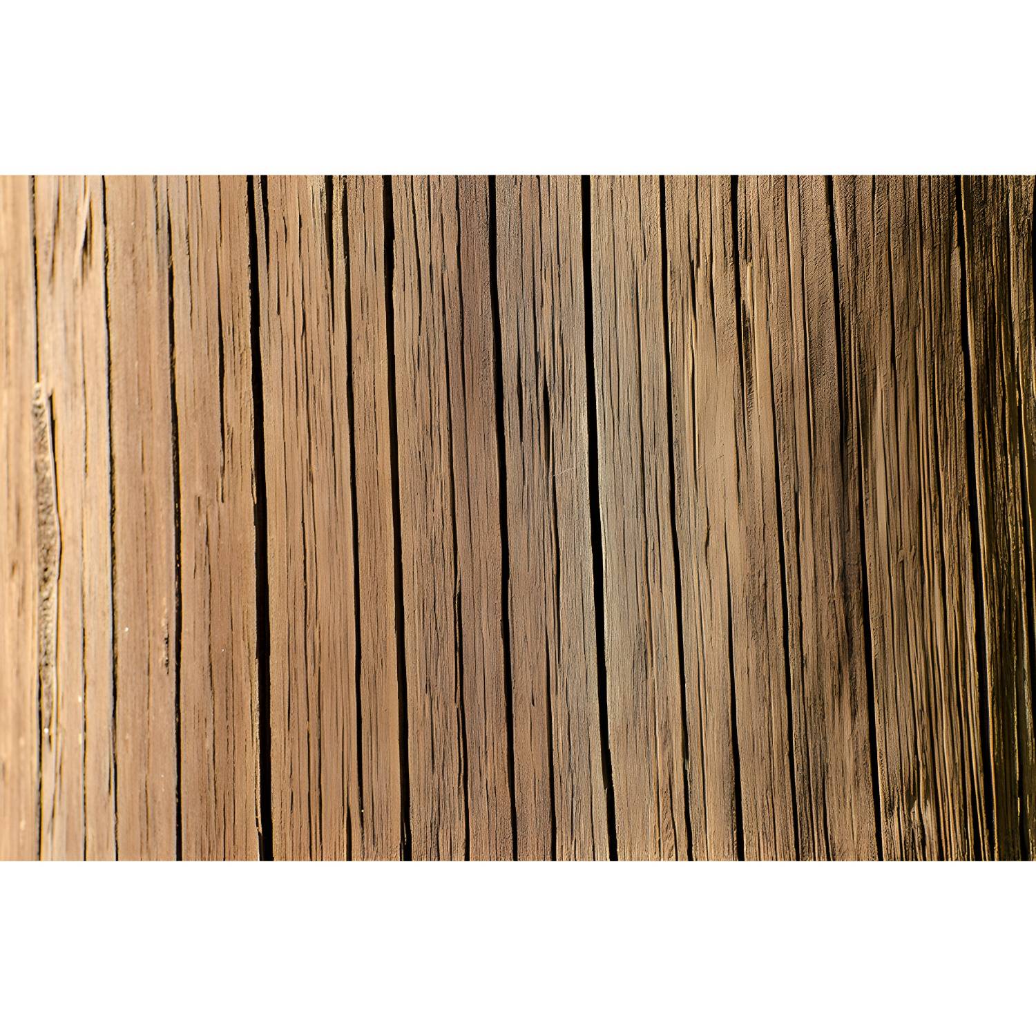Imported image 9e748db70ecb 4142791.jpg
