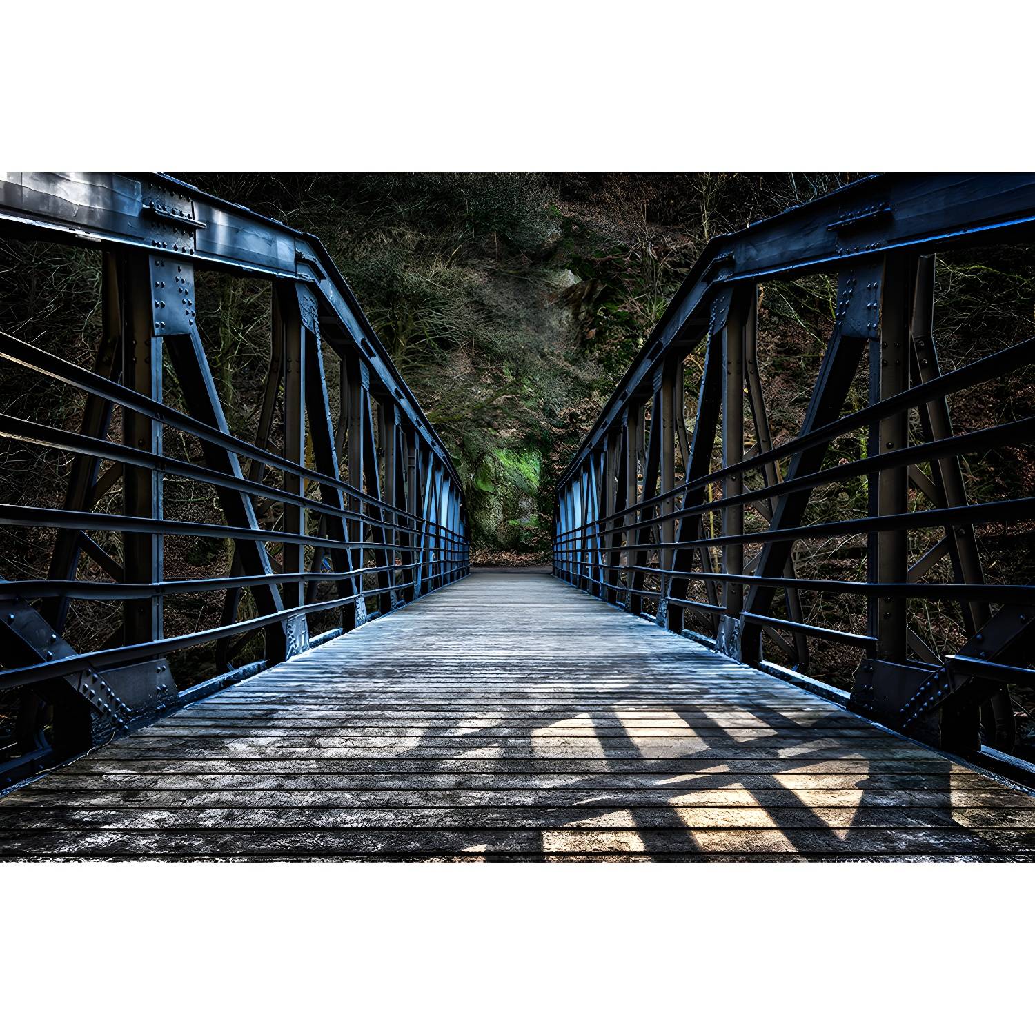 Imported image 44d3bb5cefeb 4143079.jpg