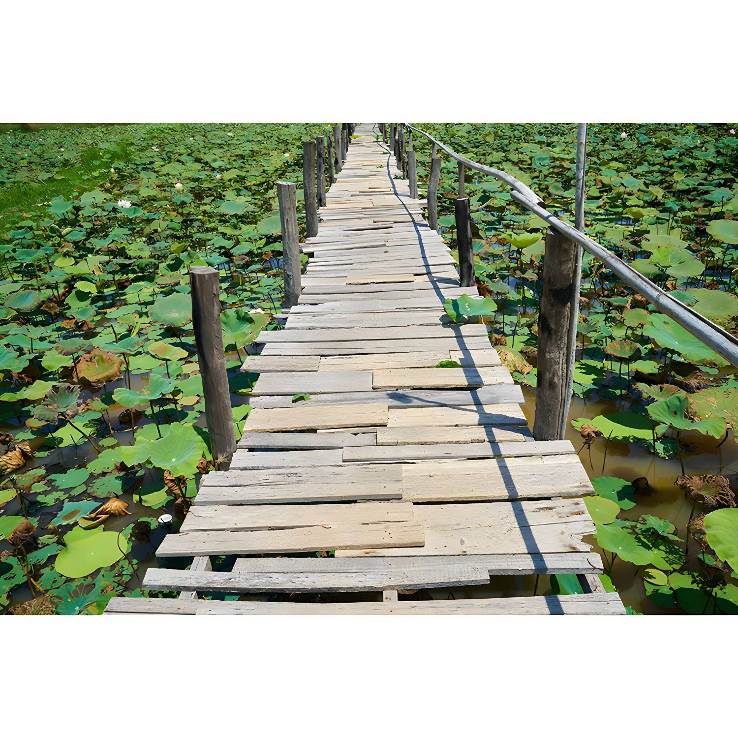 Imported image 4a7ae01fb164 4143358.jpg