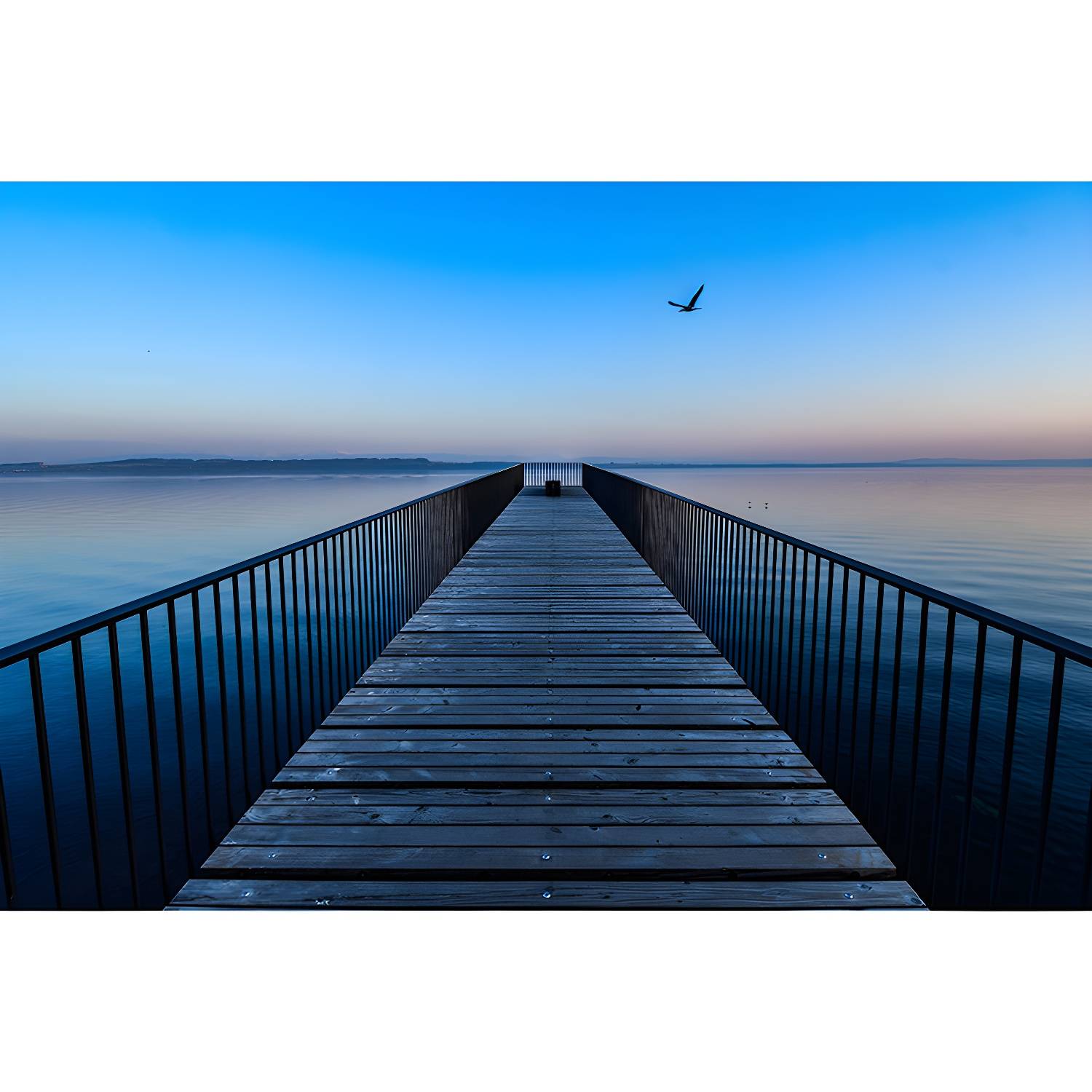 Imported image ad9fb69fd44d 4143367.jpg