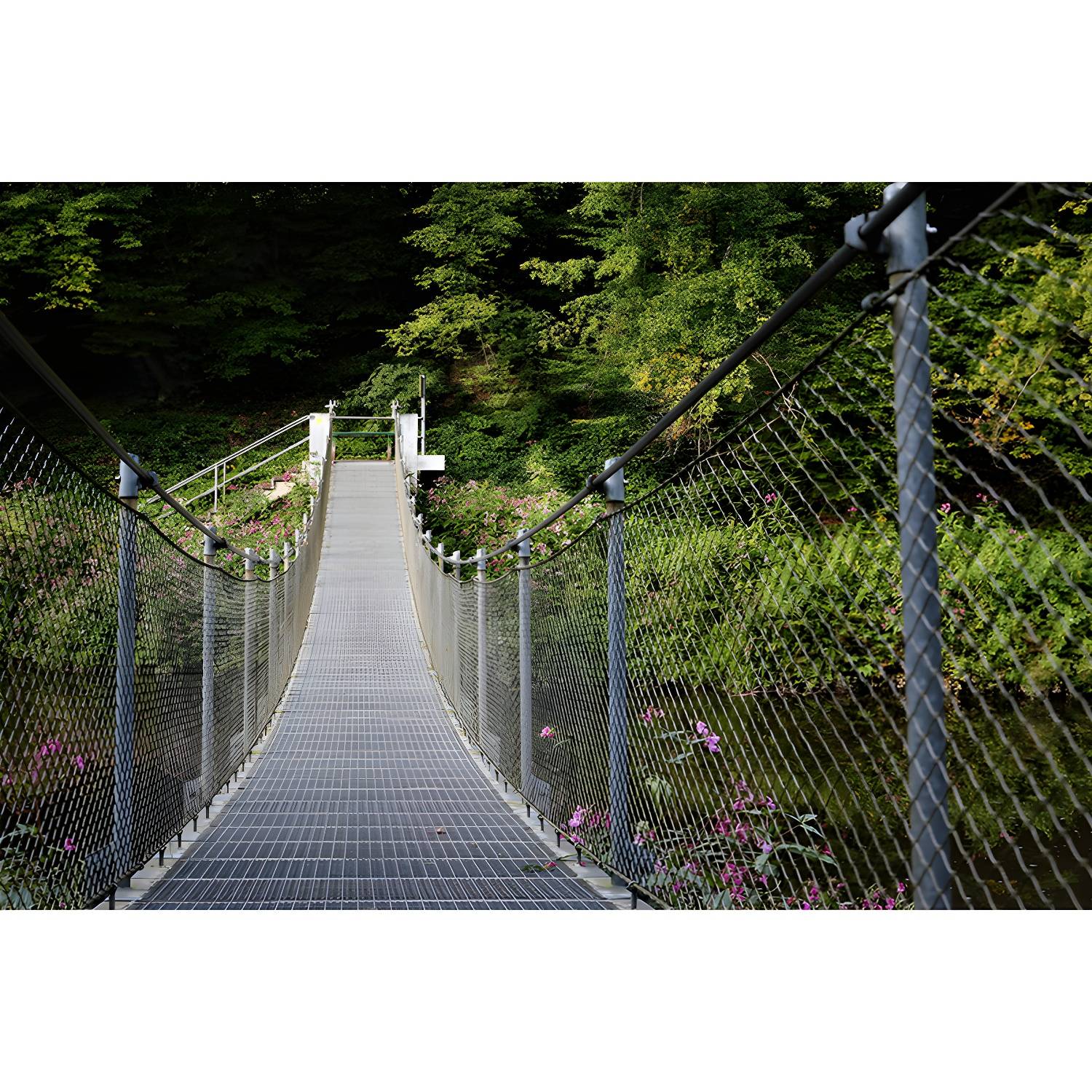 Imported image a71247abdf1c 4143371.jpg