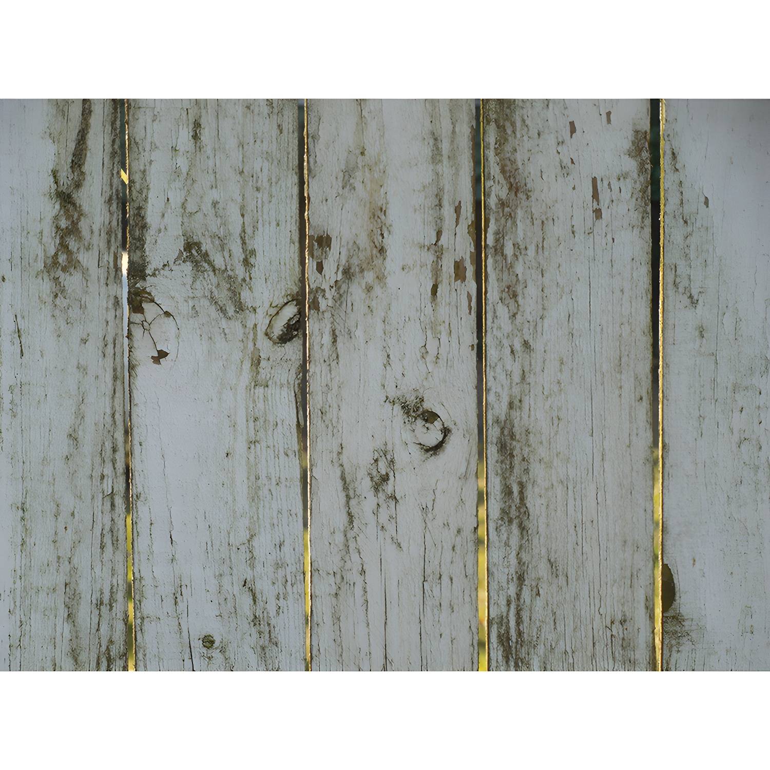 Imported image 775c0062e4dd 4143619.jpg