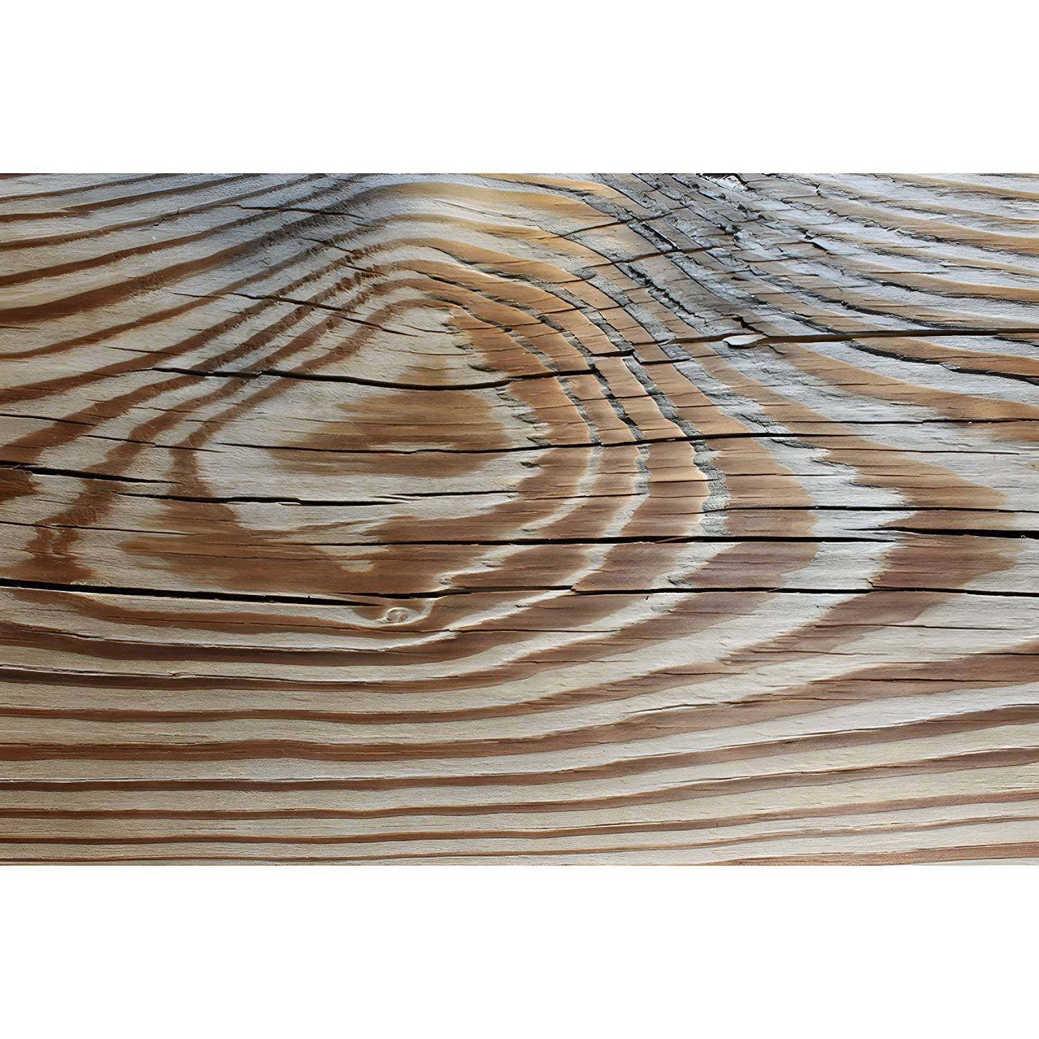 Imported image f8bed8e51a93 4143691.jpg