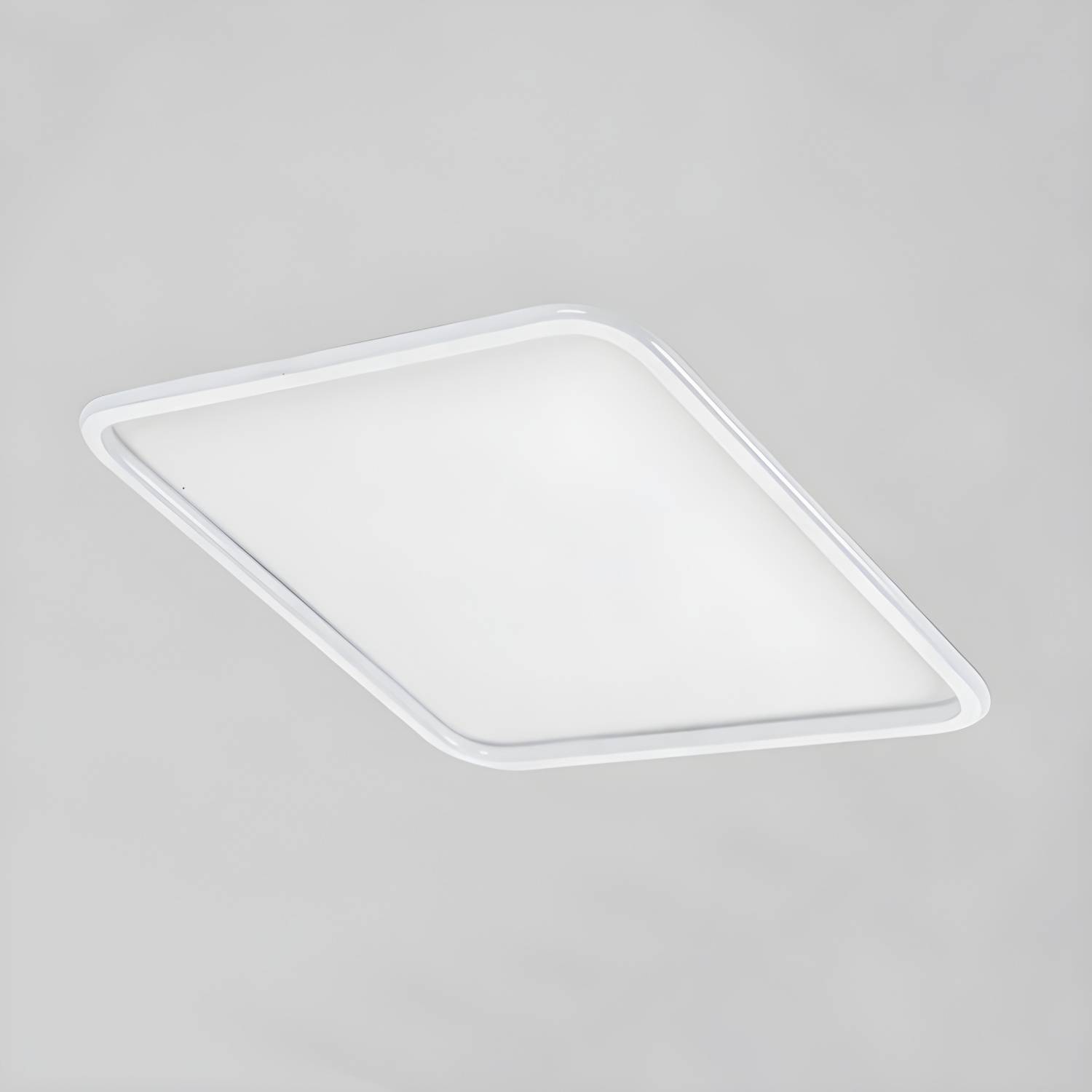 Imported image d6bf1181b1fd 4169587.jpg