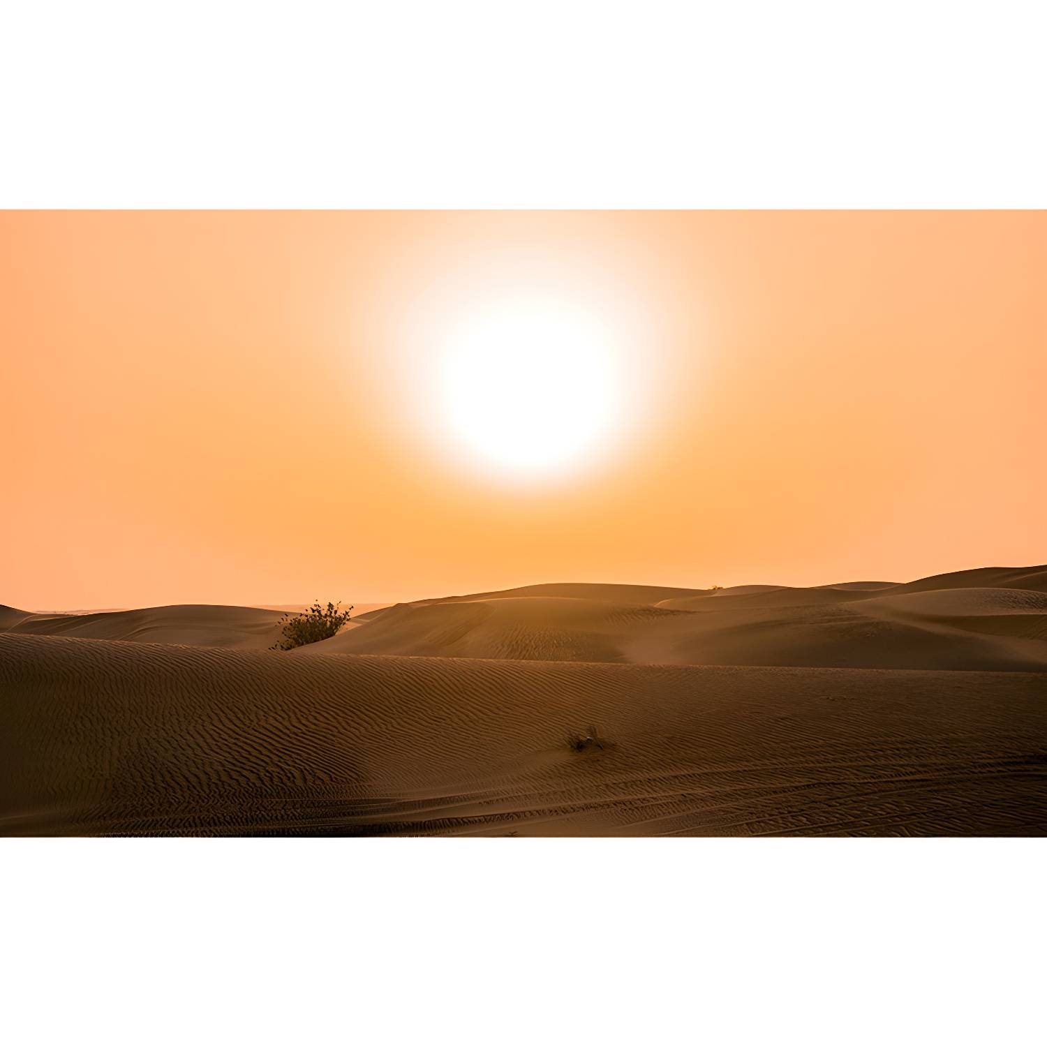 Imported image a0a367b8fe3c 4172660.jpg