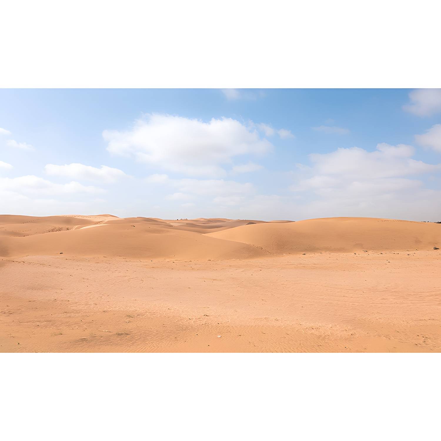 Imported image f47b8cd6aa87 4172665.jpg