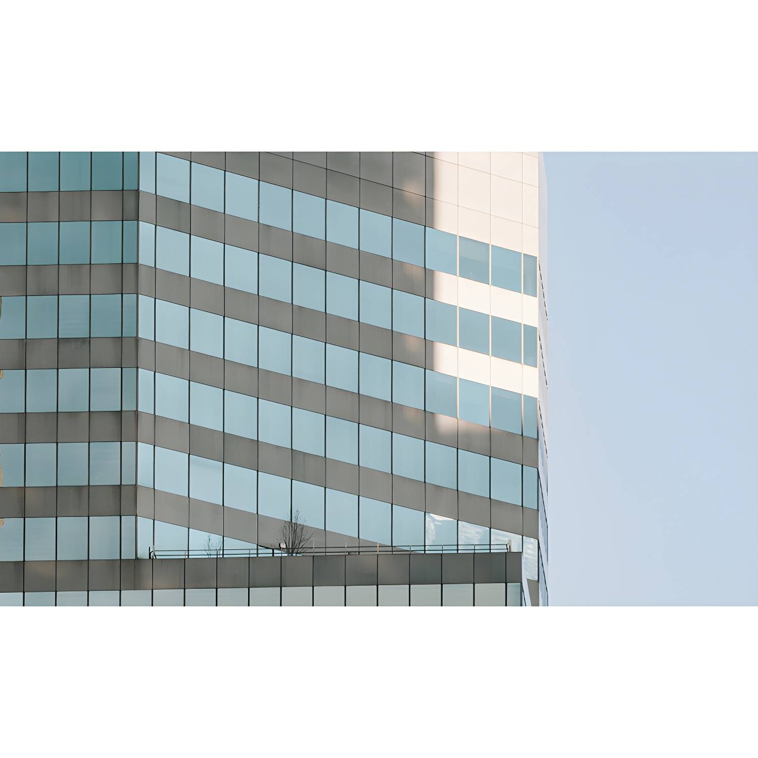 Imported image 8cec113cd3b9 4201862.jpg
