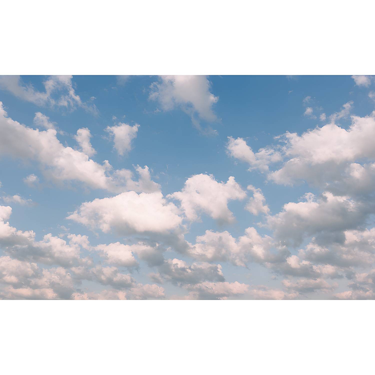 Imported image 368a7b1483cb 4221654.jpg