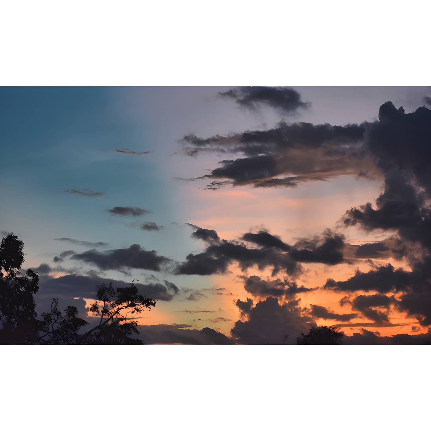 Imported image eaf0228c421c 4221667.jpg