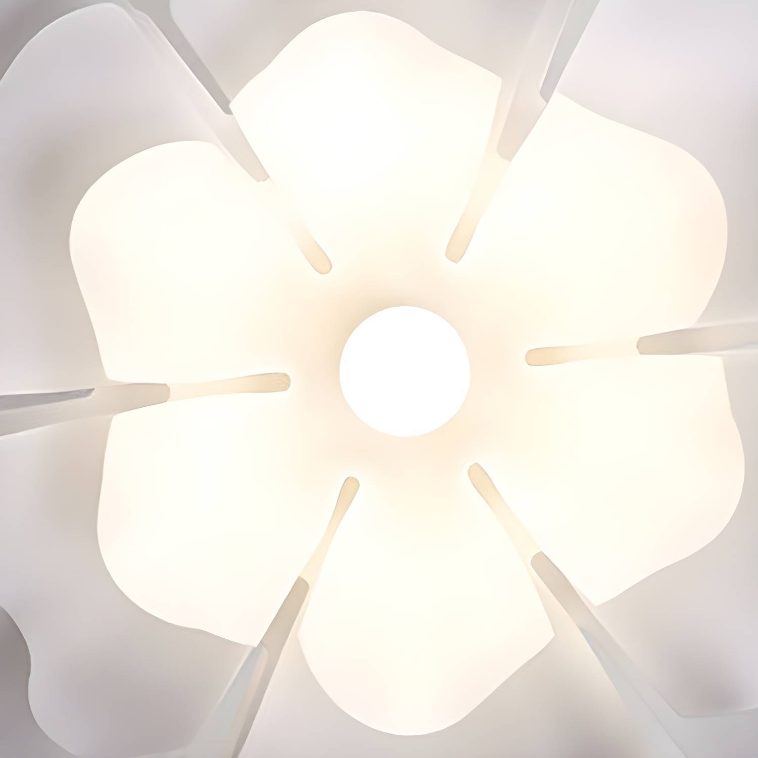 Imported image 19d63c4903f3 4243137.jpg