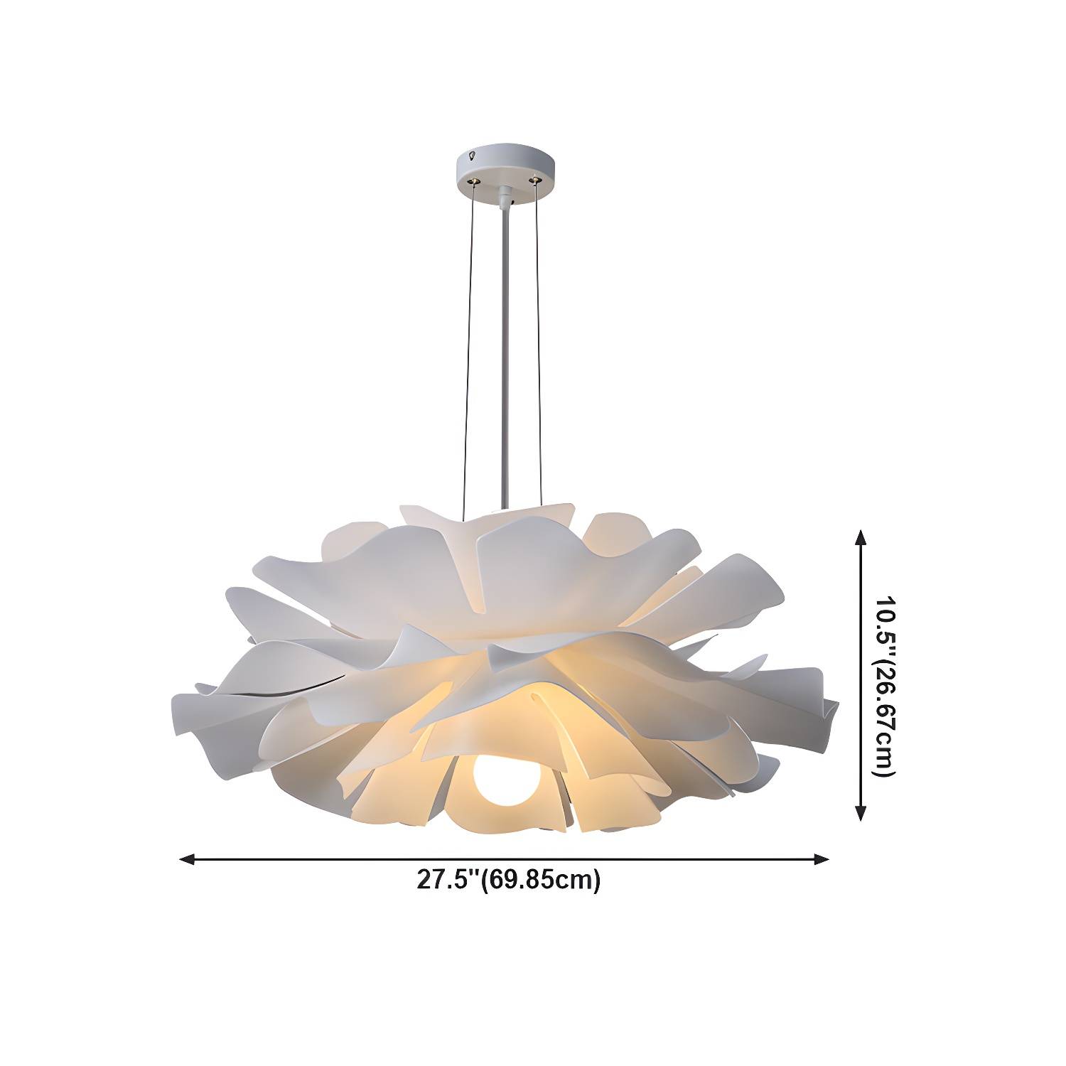 Imported image f97b8e4fee55 4243145.jpg