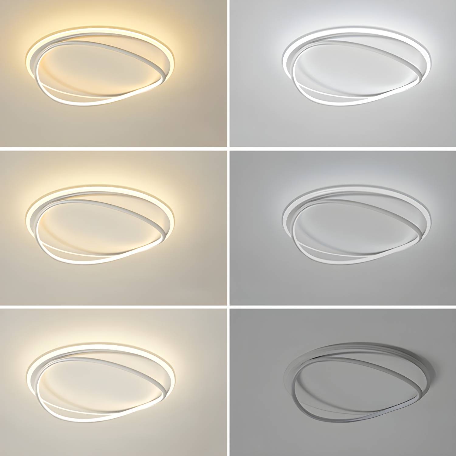 Imported image e9baebd425aa 4262606.jpg