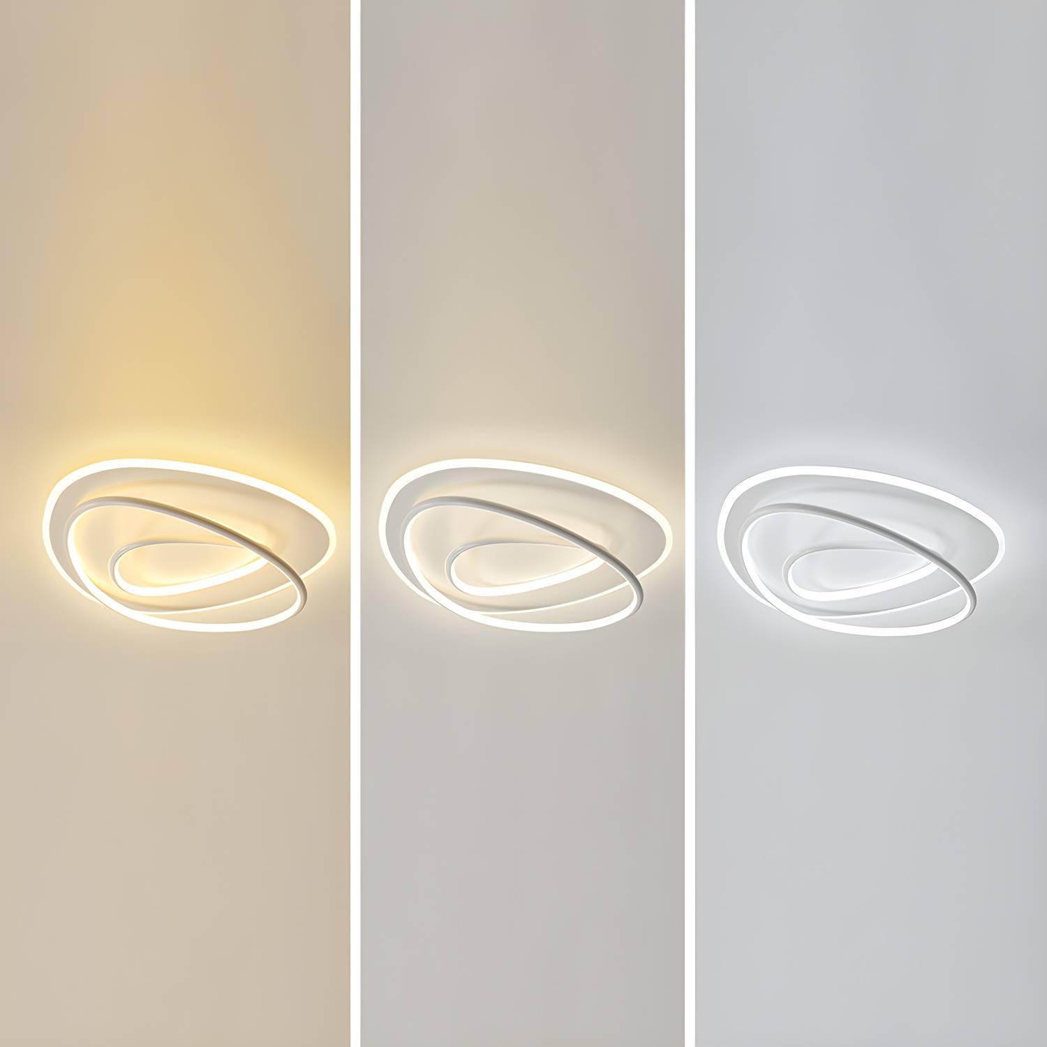 Imported image e53547e5ea01 4263006.jpg