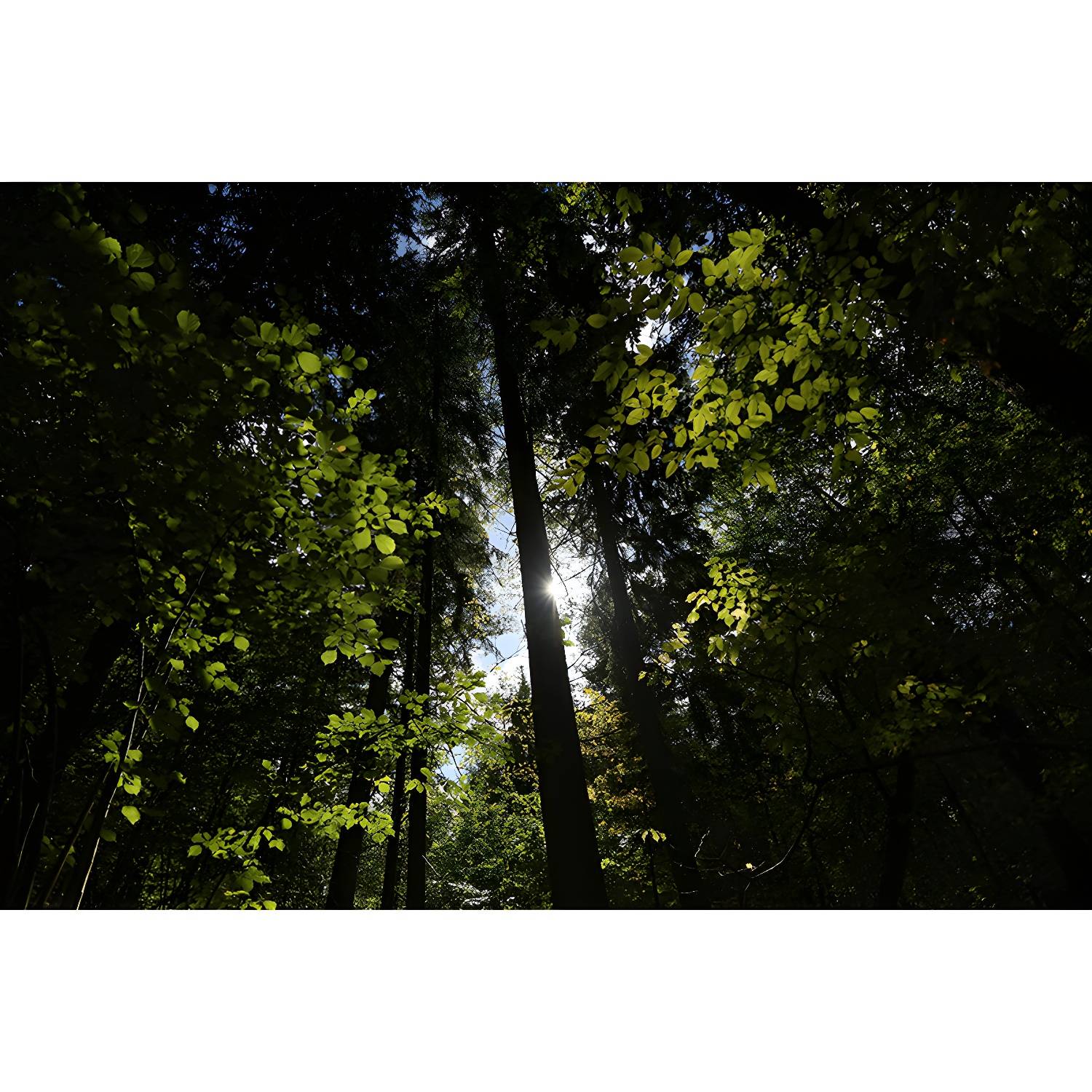 Imported image 816d06fe2568 4277137.jpg