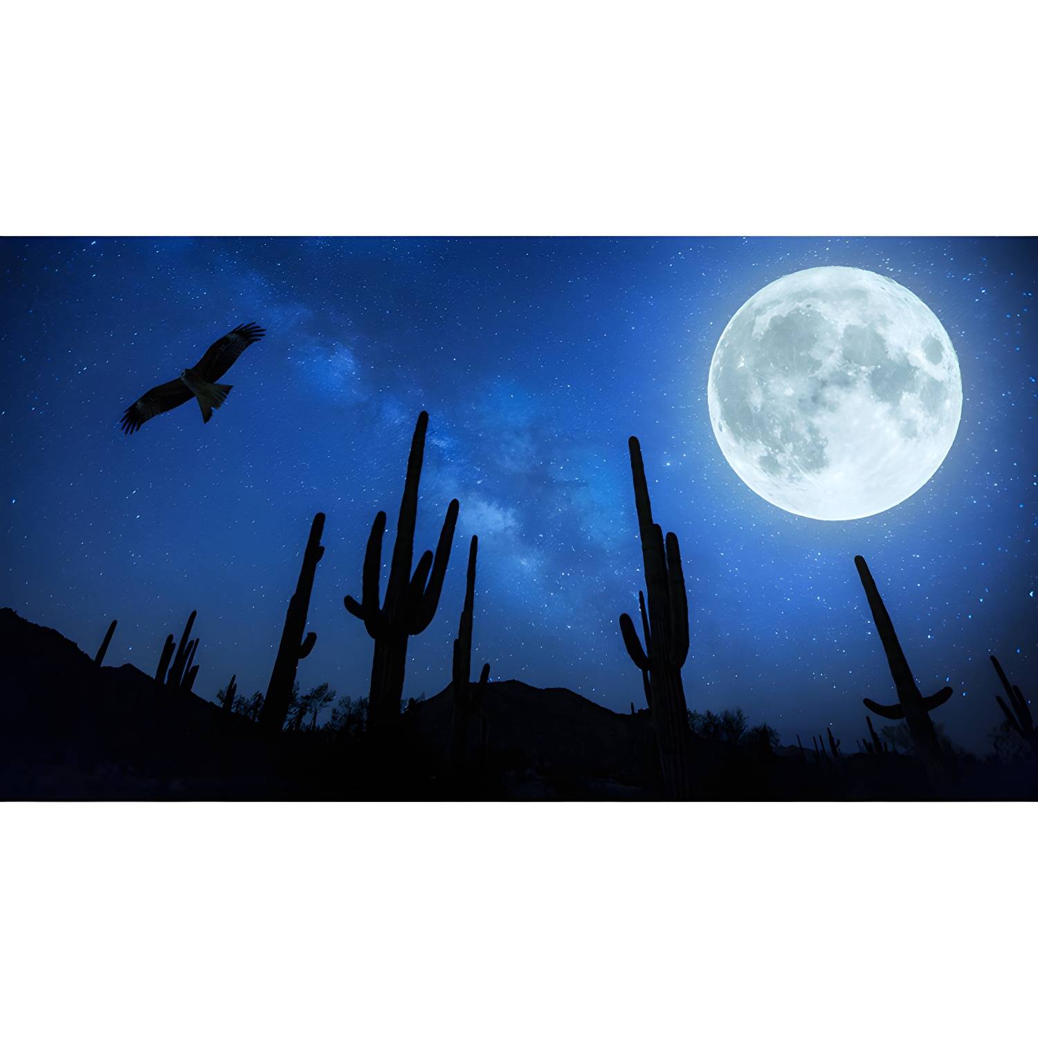 Imported image ca16eb4b7bda 4277947.jpg