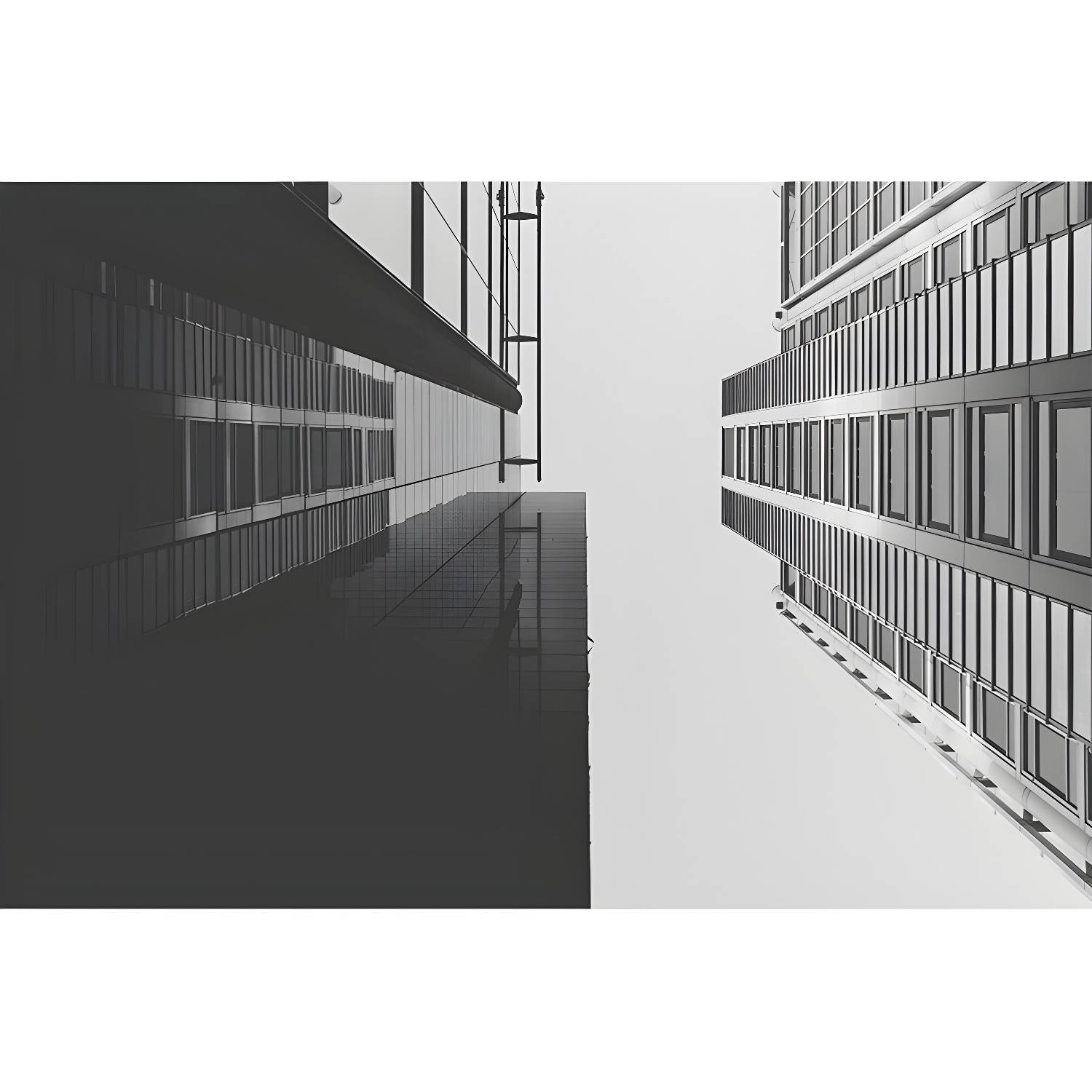 Imported image fc898780fa00 4286077.jpg