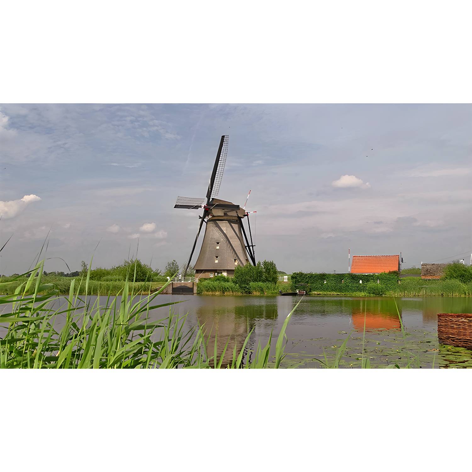 Imported image 972769d0aa50 4301175.jpg