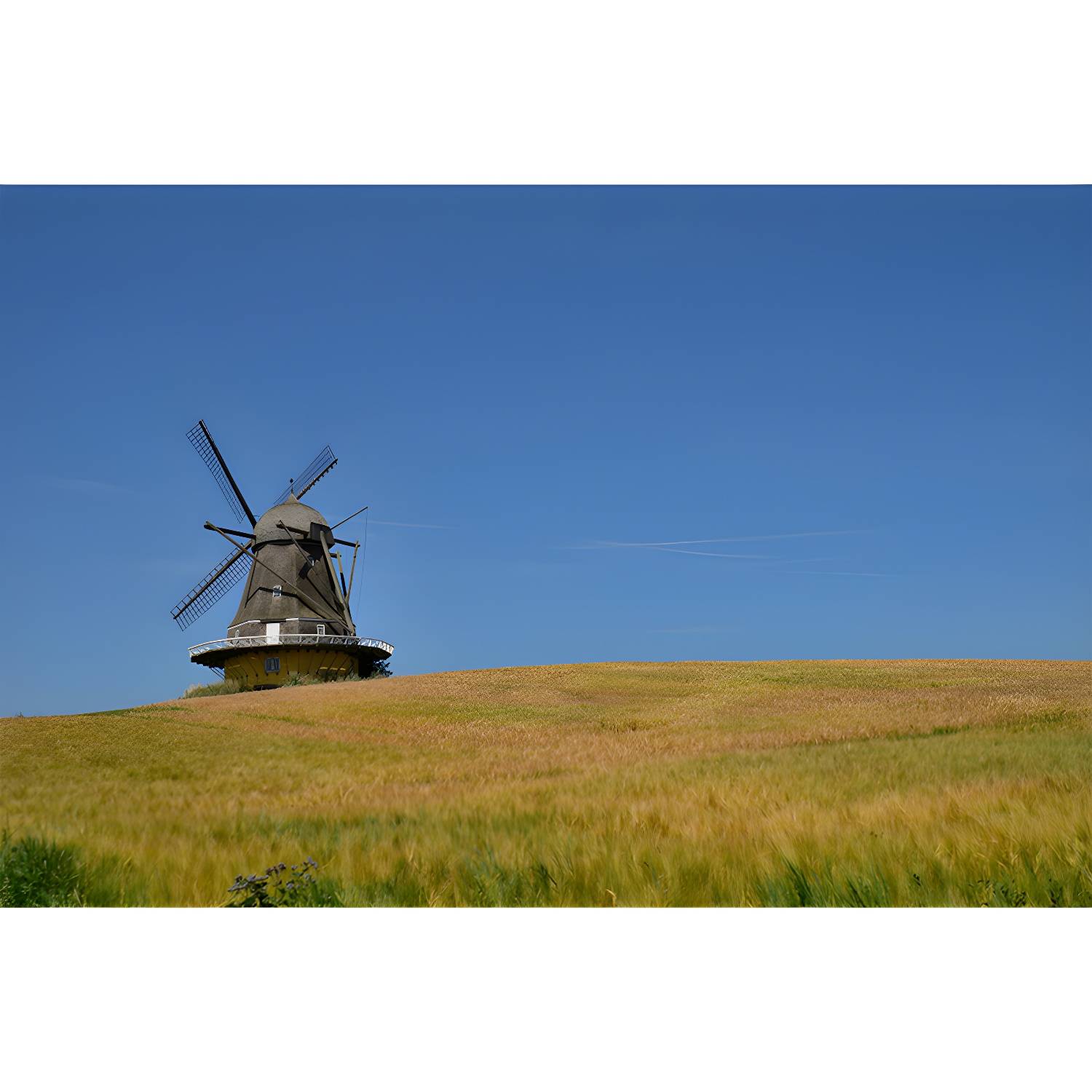 Imported image 7b00084af76a 4301179.jpg