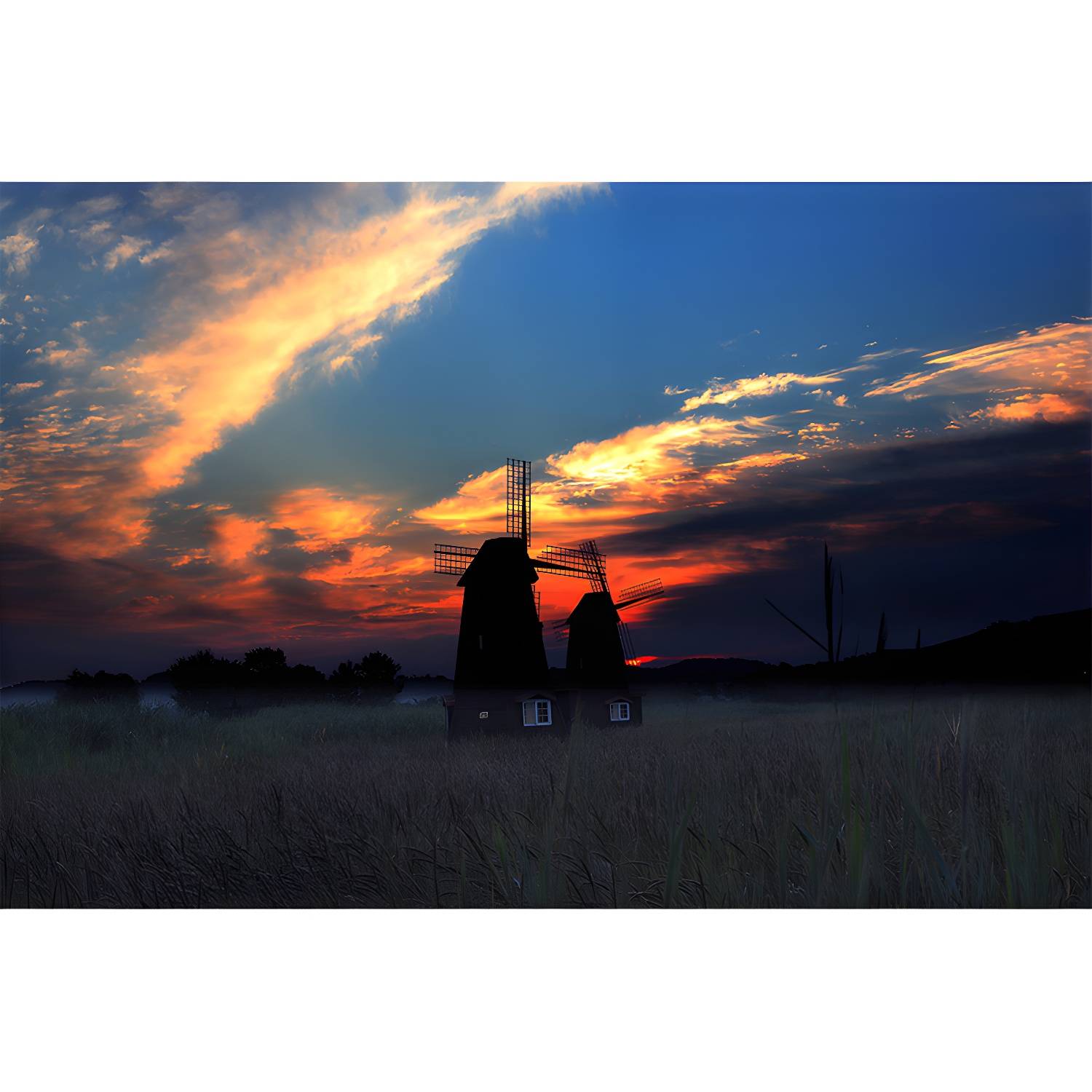 Imported image d1e946922589 4301183.jpg