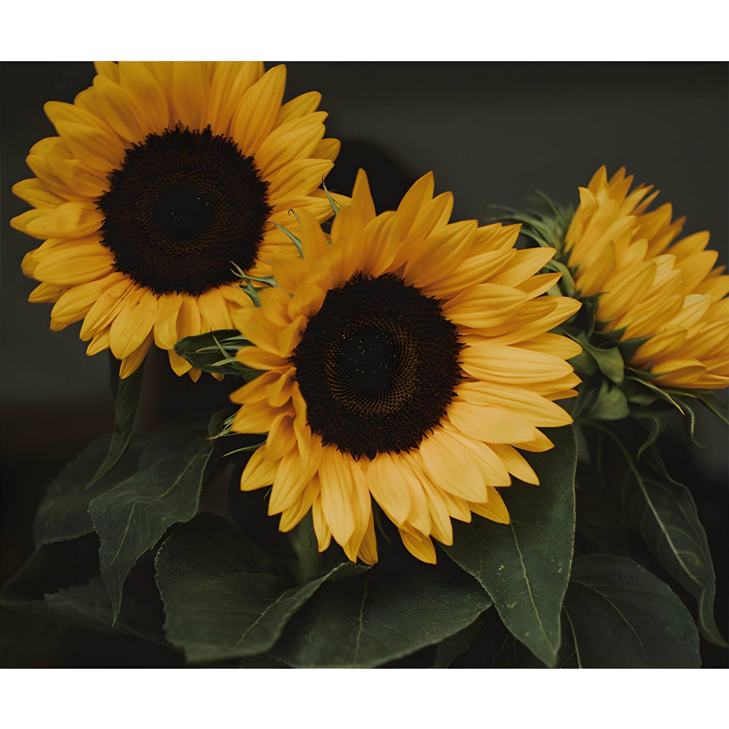 Imported image 3552de500aeb 4313941.jpg