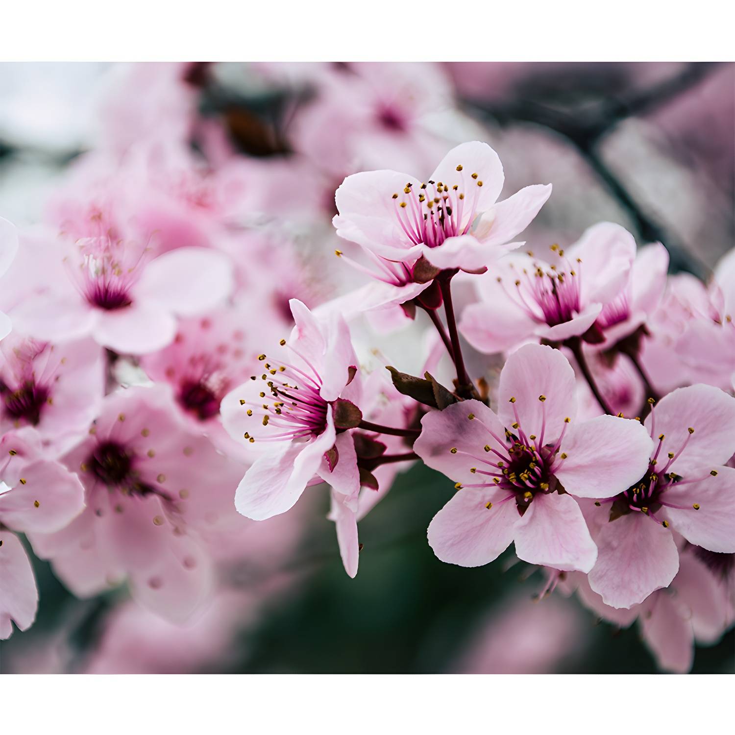 Imported image 7a55ada59e4e 4314013.jpg