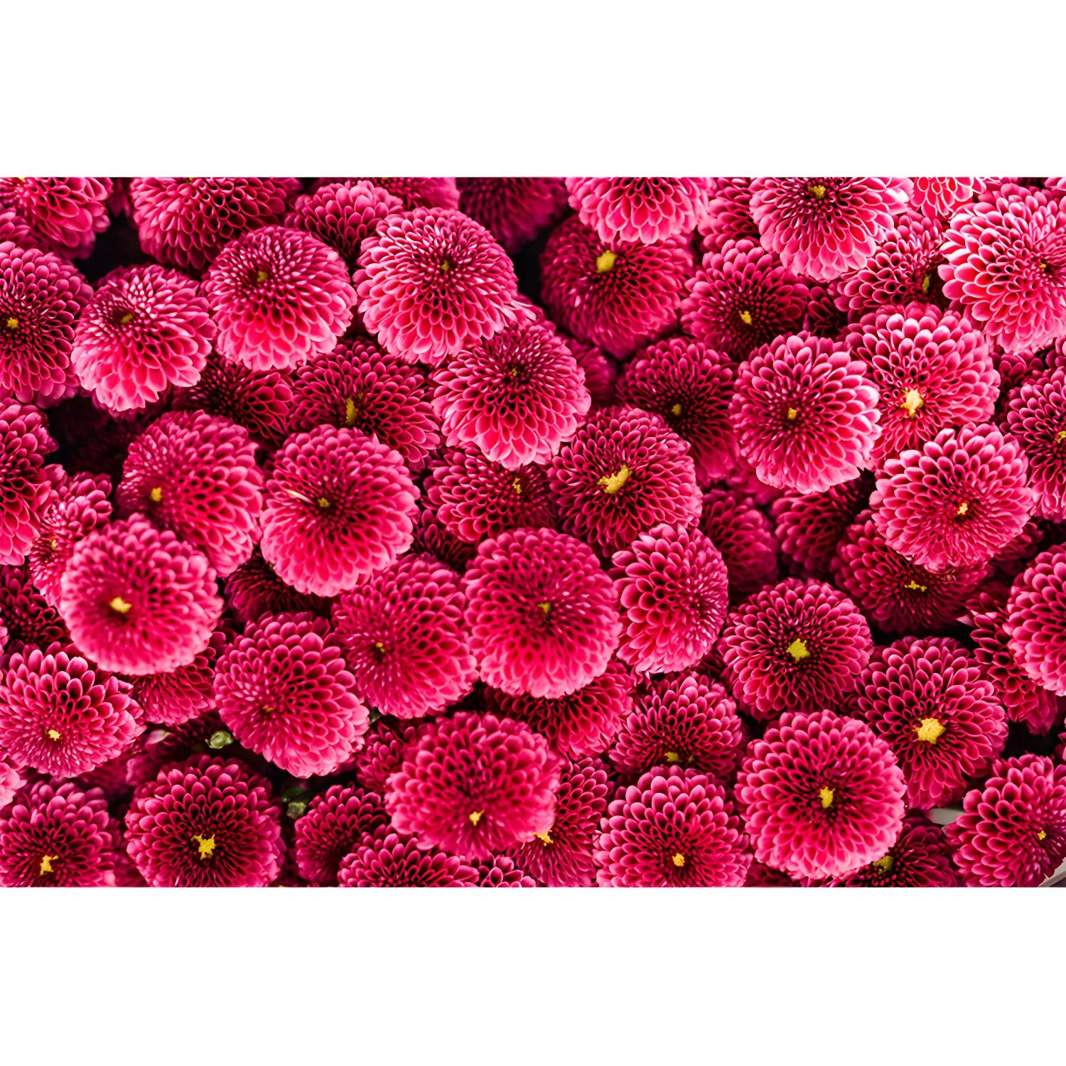 Imported image 98f7f75d0633 4314018.jpg