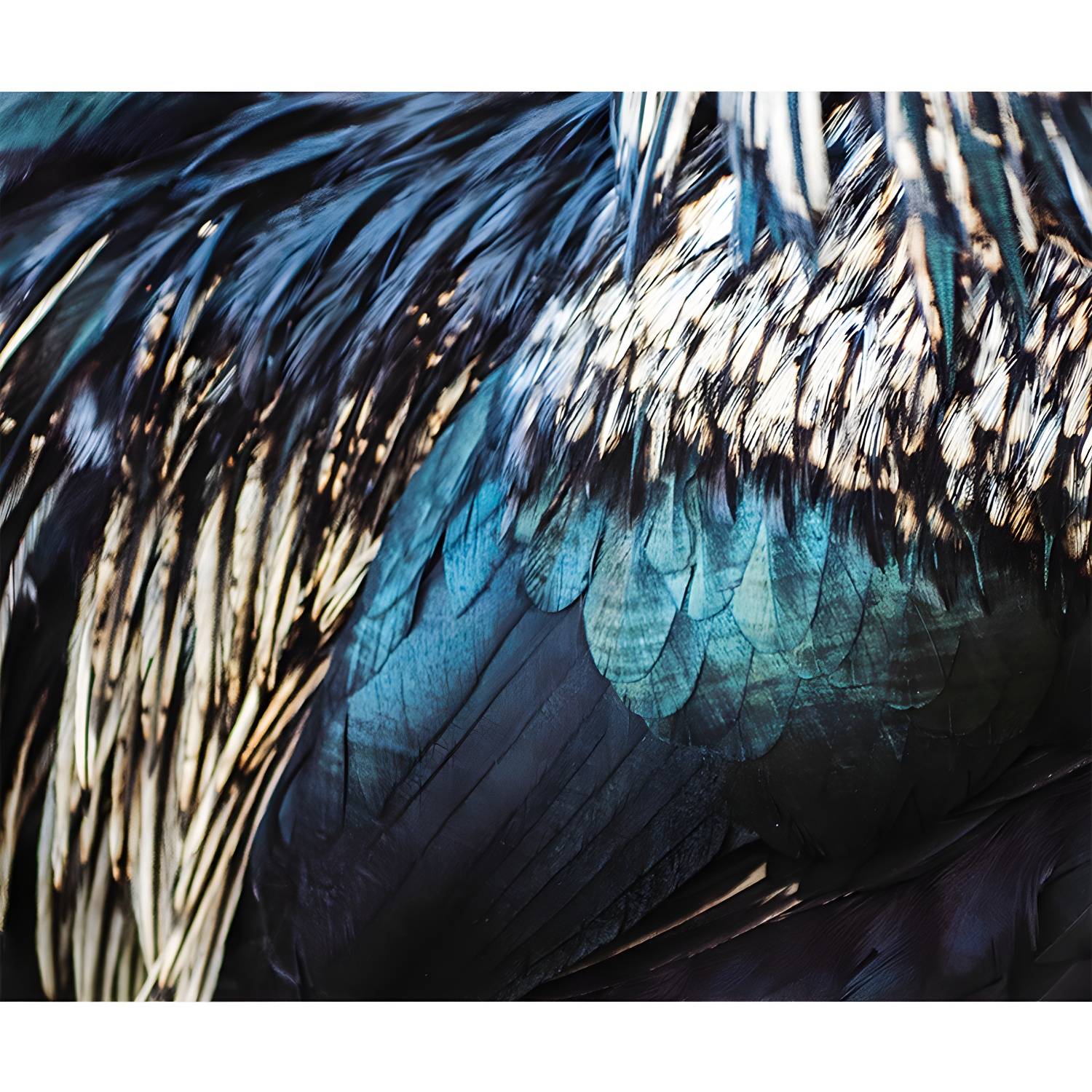 Imported image a63710da33eb 4314085.jpg