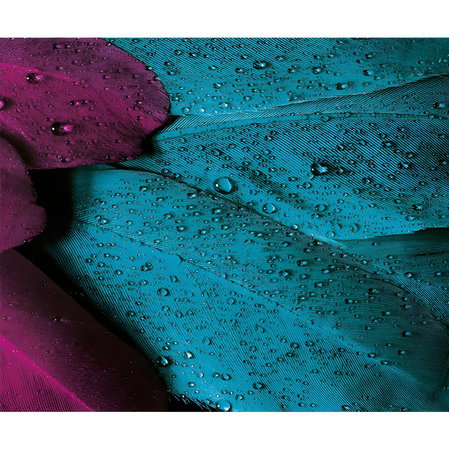 Imported image 658a8ad250df 4314090.jpg