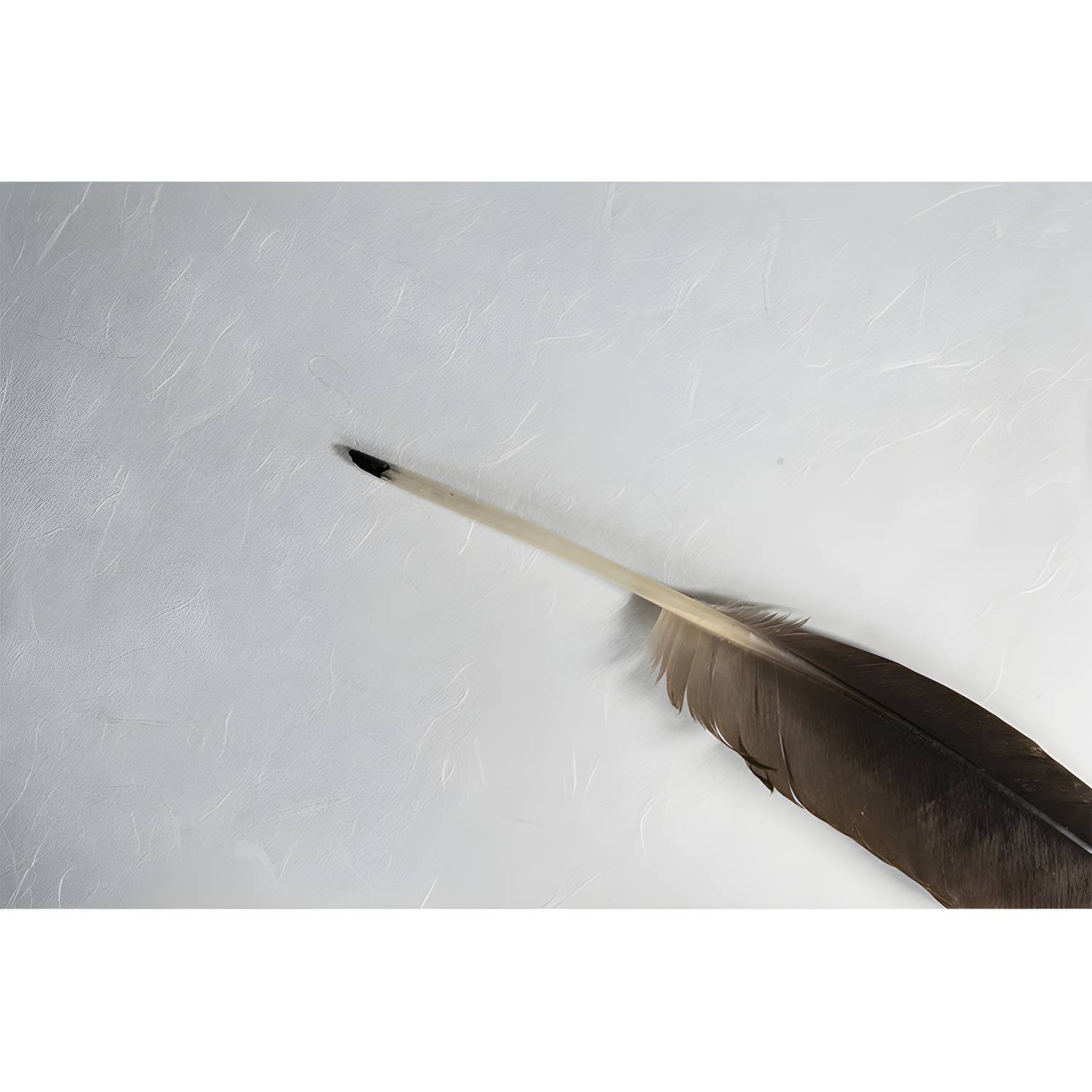 Imported image 62e95eb38573 4314112.jpg