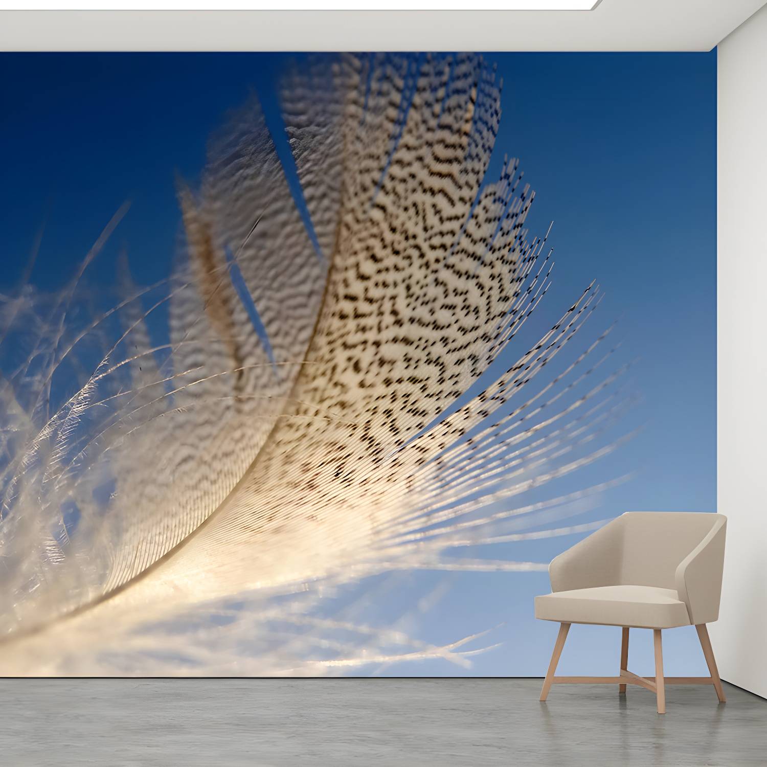 Imported image 775fe14e167b 4314114.jpg