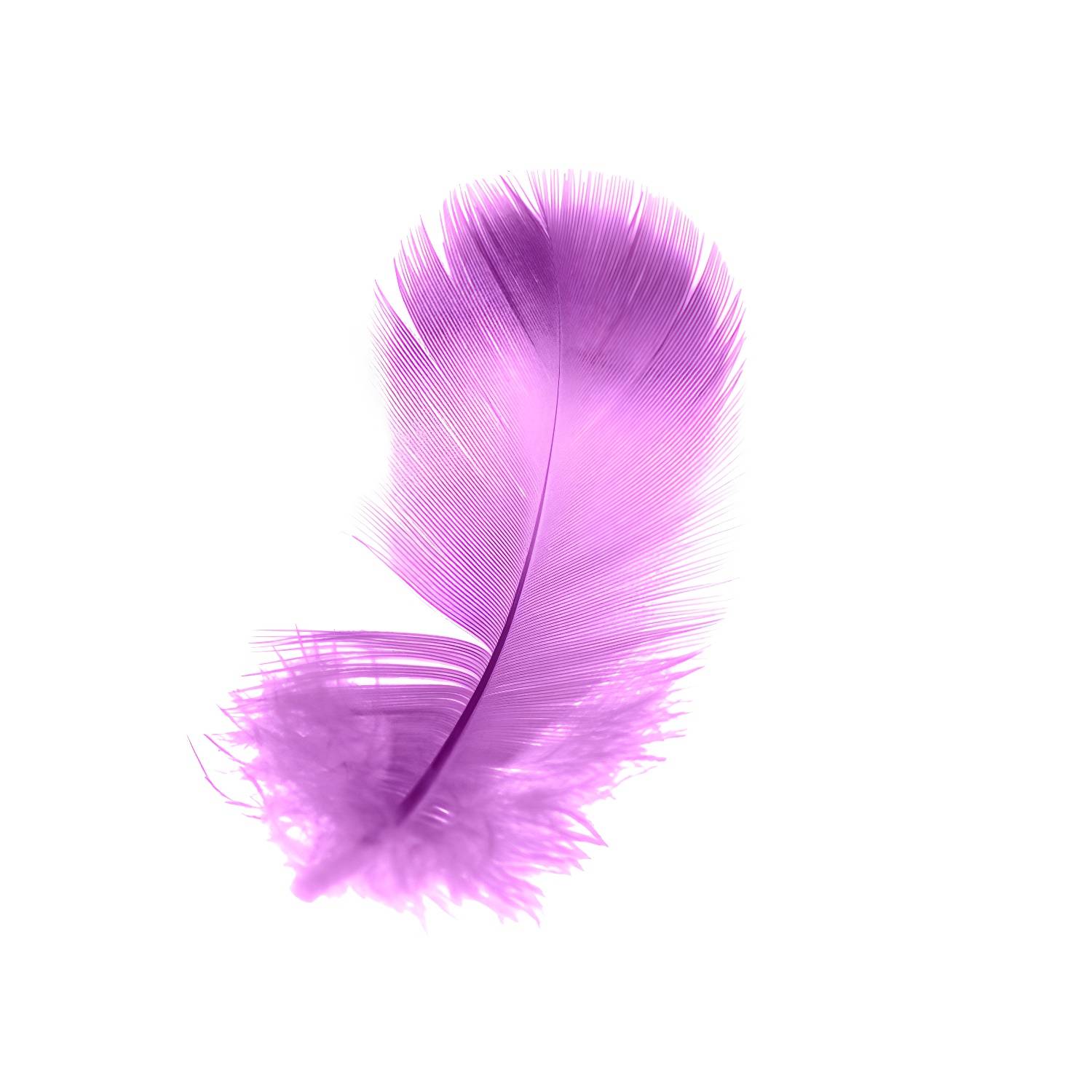 Imported image 0c82e5d3135a 4314211.jpg