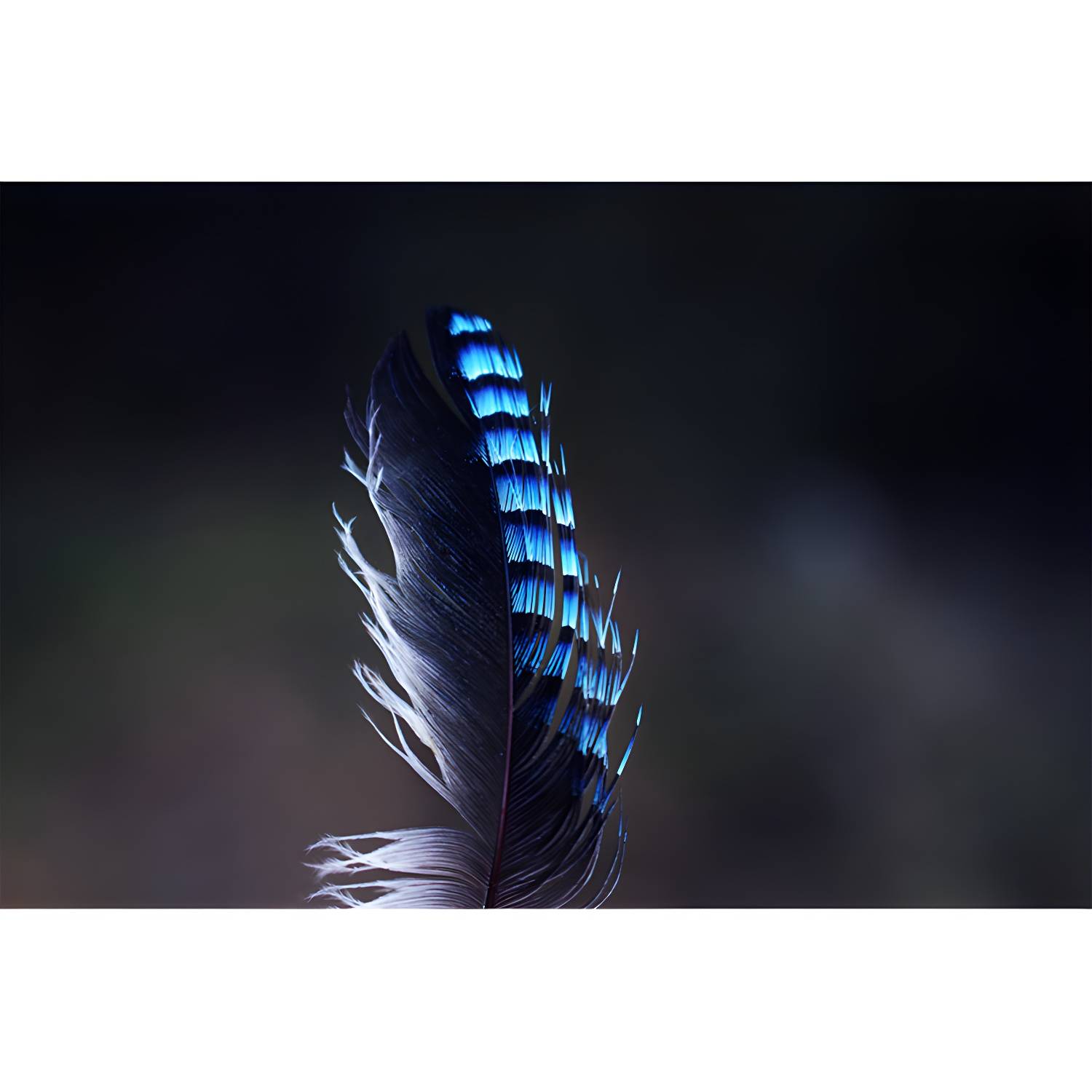 Imported image a8271bc0a66b 4314220.jpg