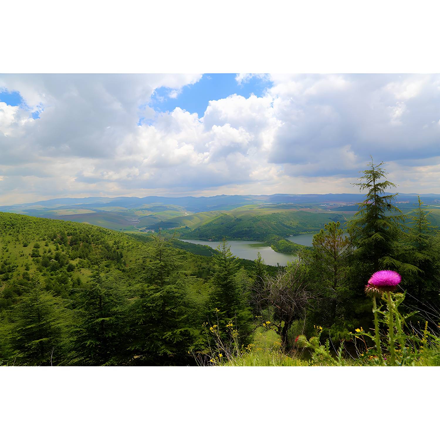 Imported image 9ef17f00c790 4314332.jpg