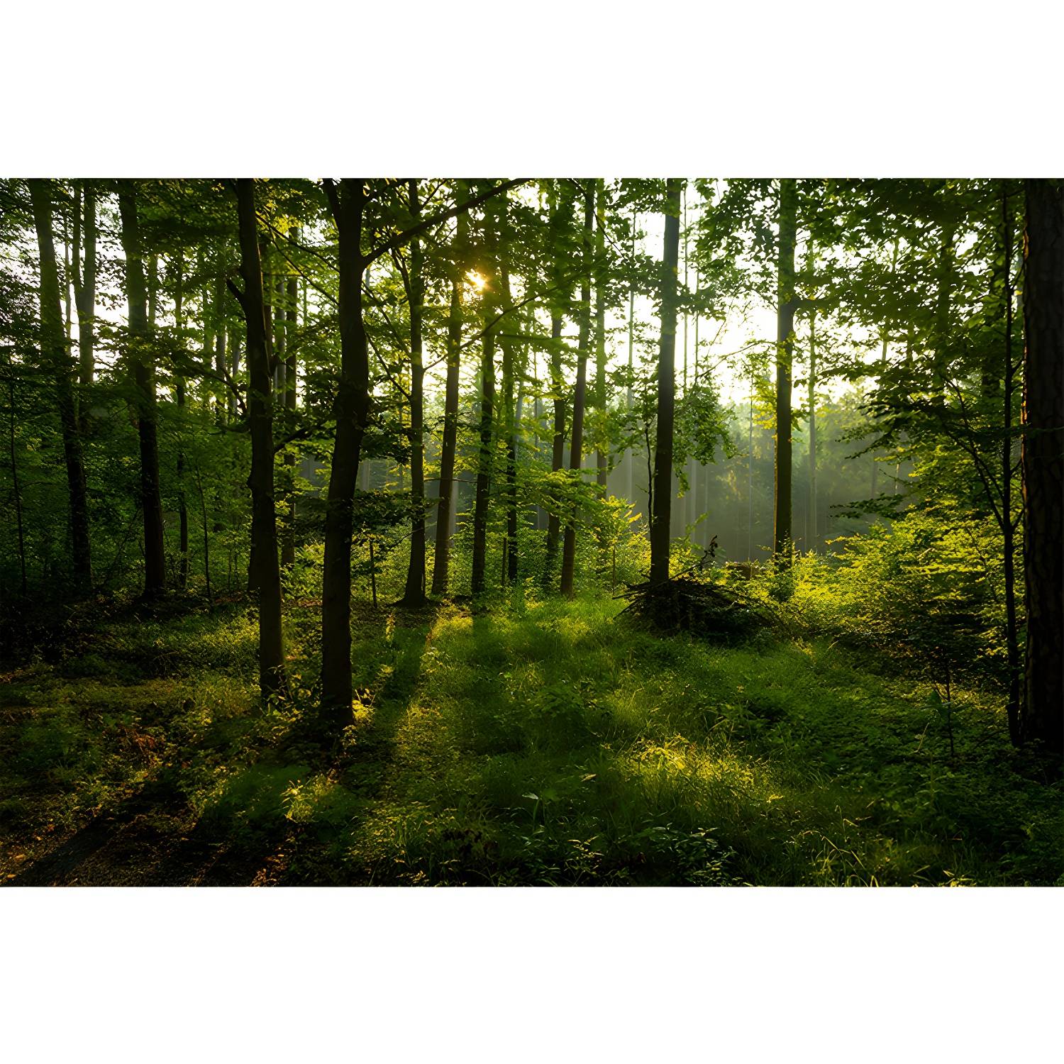 Imported image 43e13a4bdc42 4314378.jpg