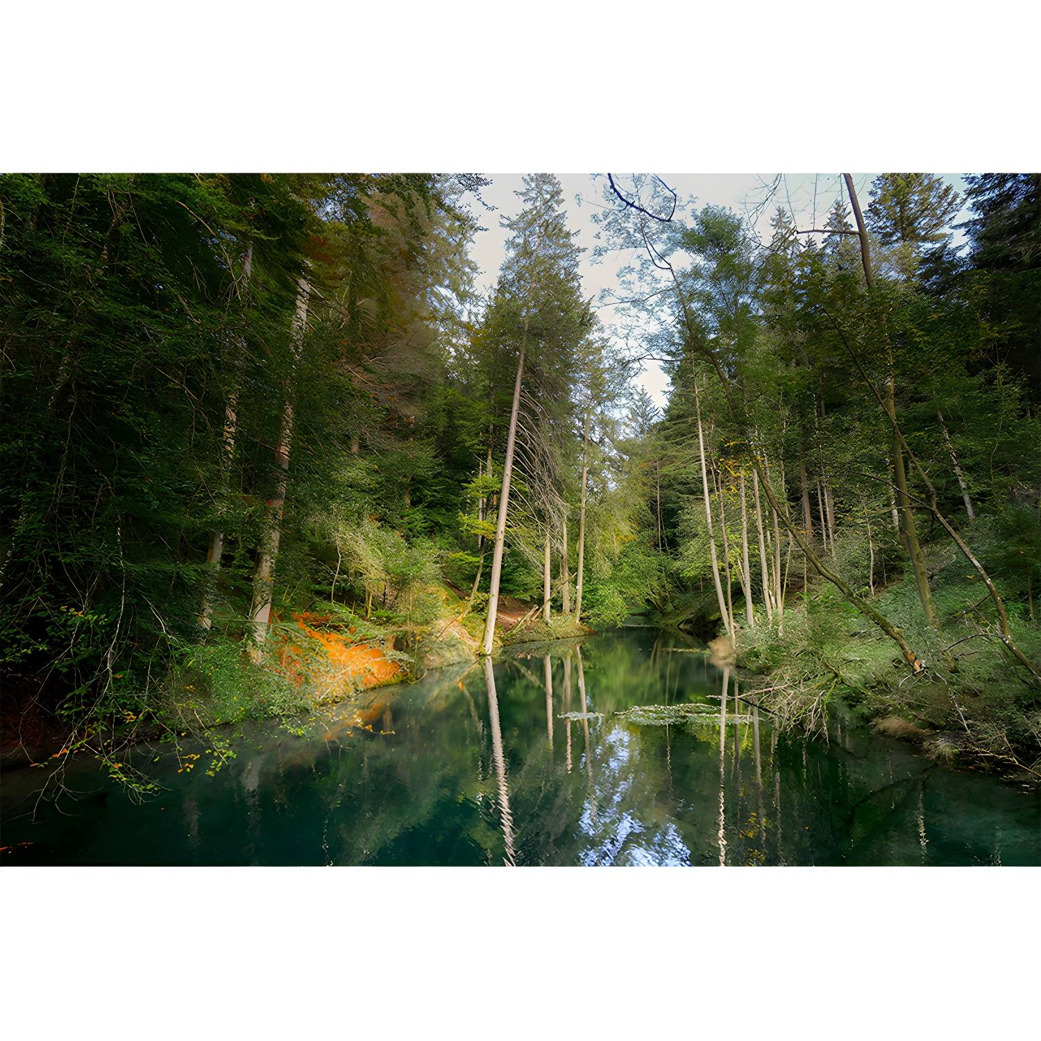 Imported image 853d4ff2d44d 4314427.jpg