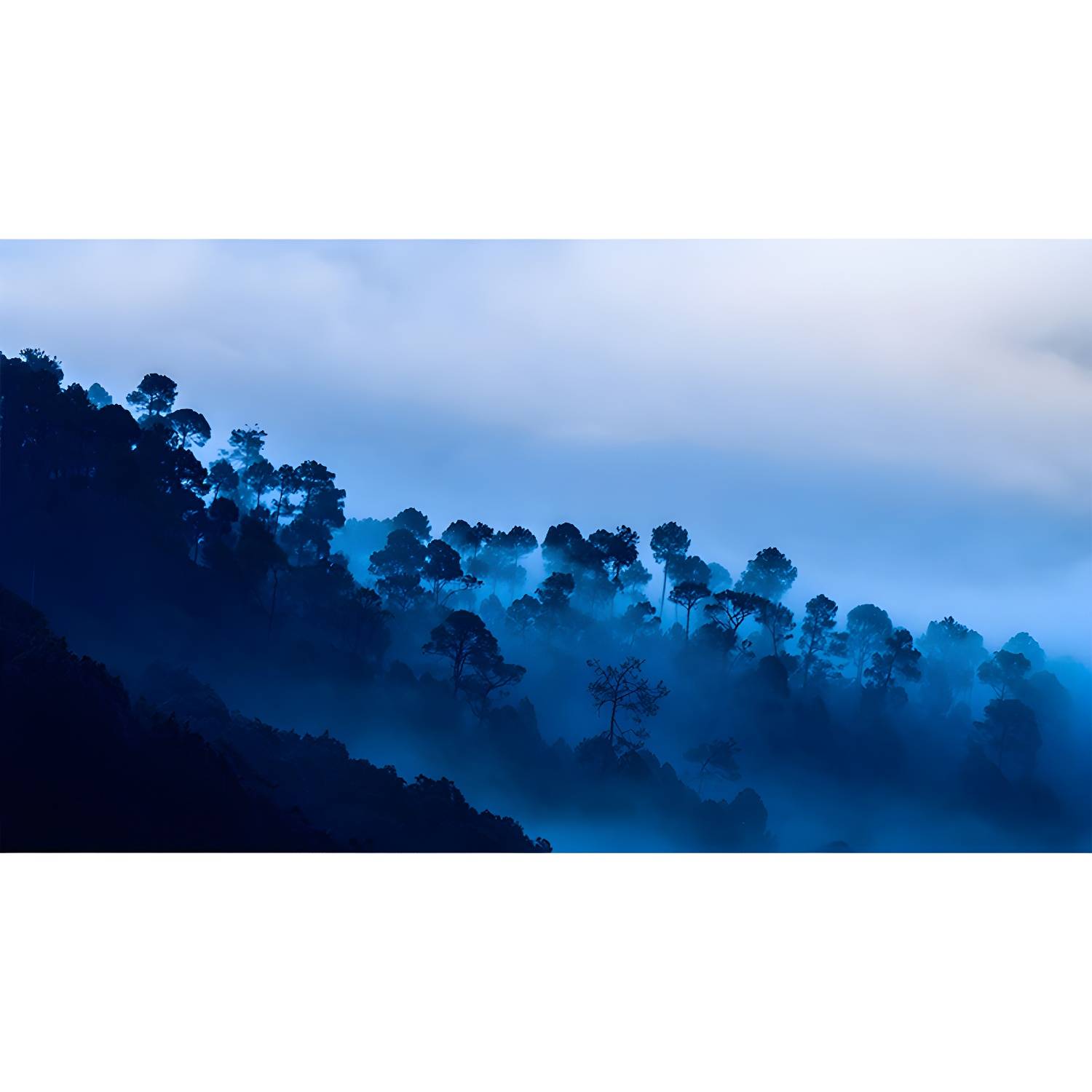 Imported image 7c0a533830f7 4314432.jpg