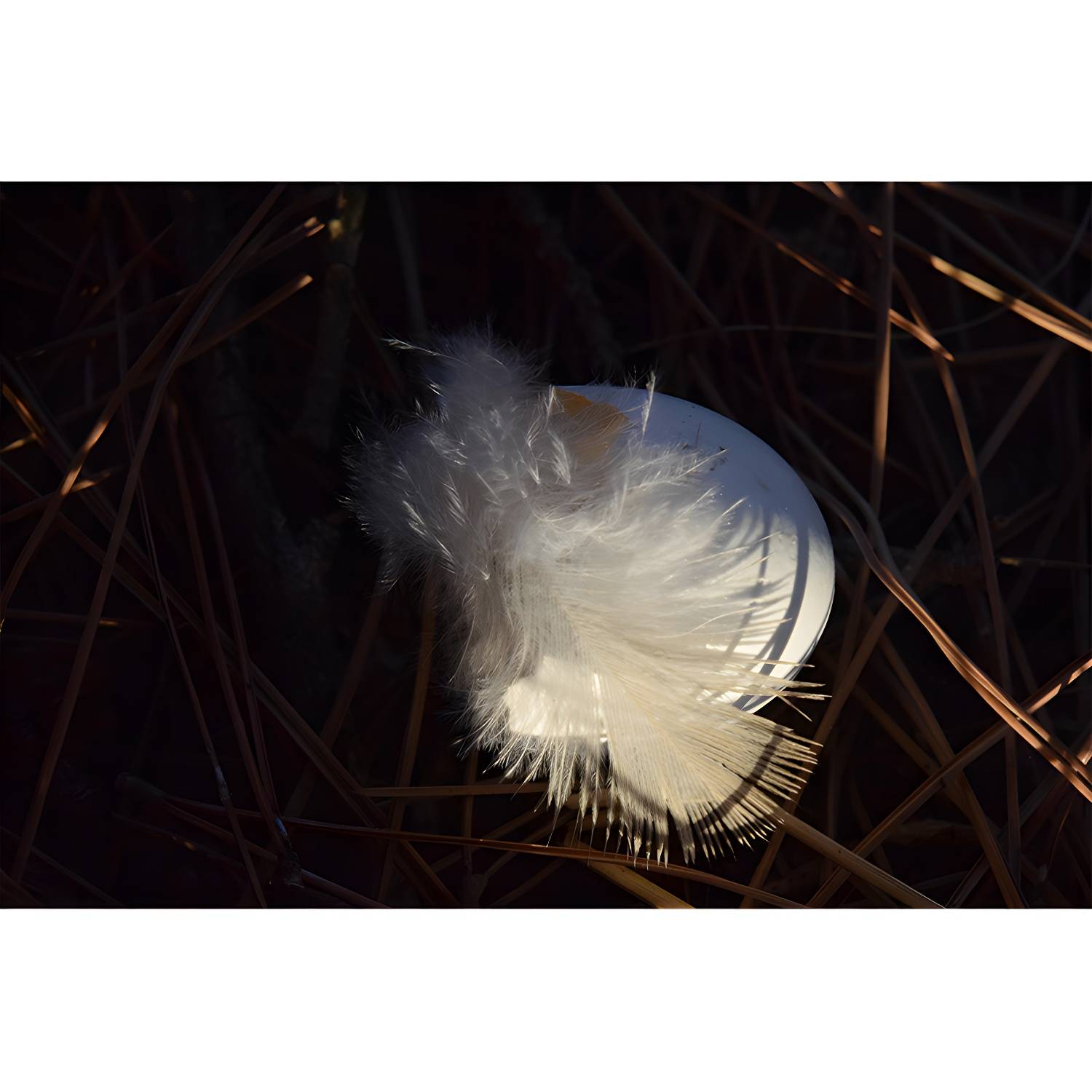 Imported image 93b873186ffb 4314877.jpg