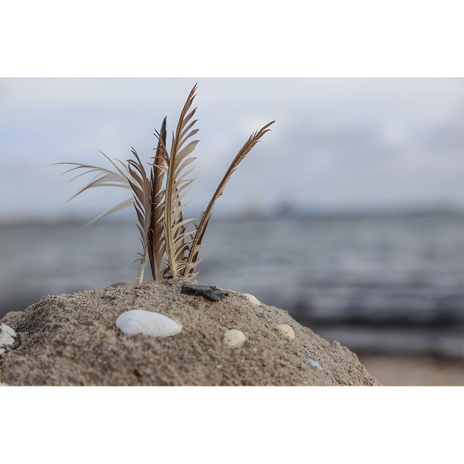 Imported image f9010ea7f0ce 4314886.jpg