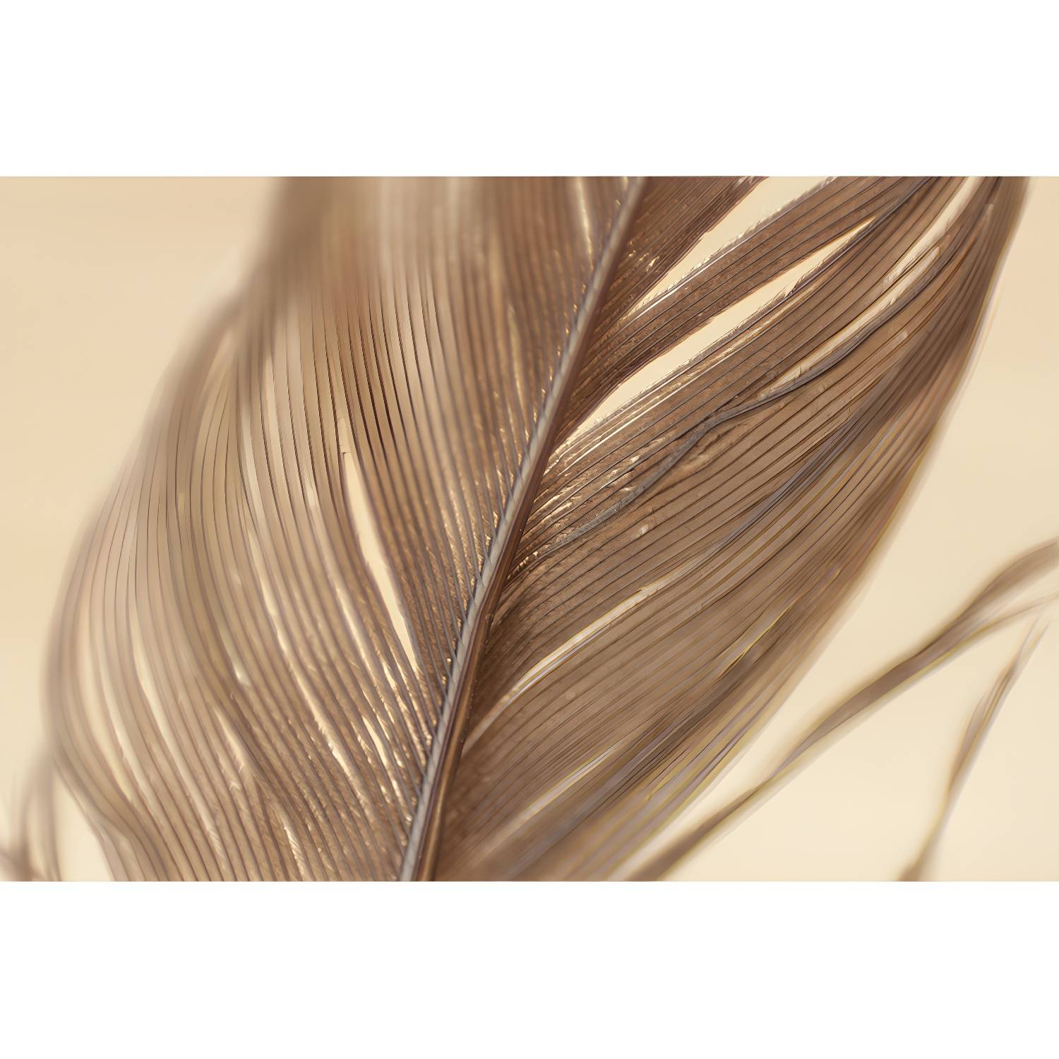 Imported image fde26f3afce4 4314926.jpg