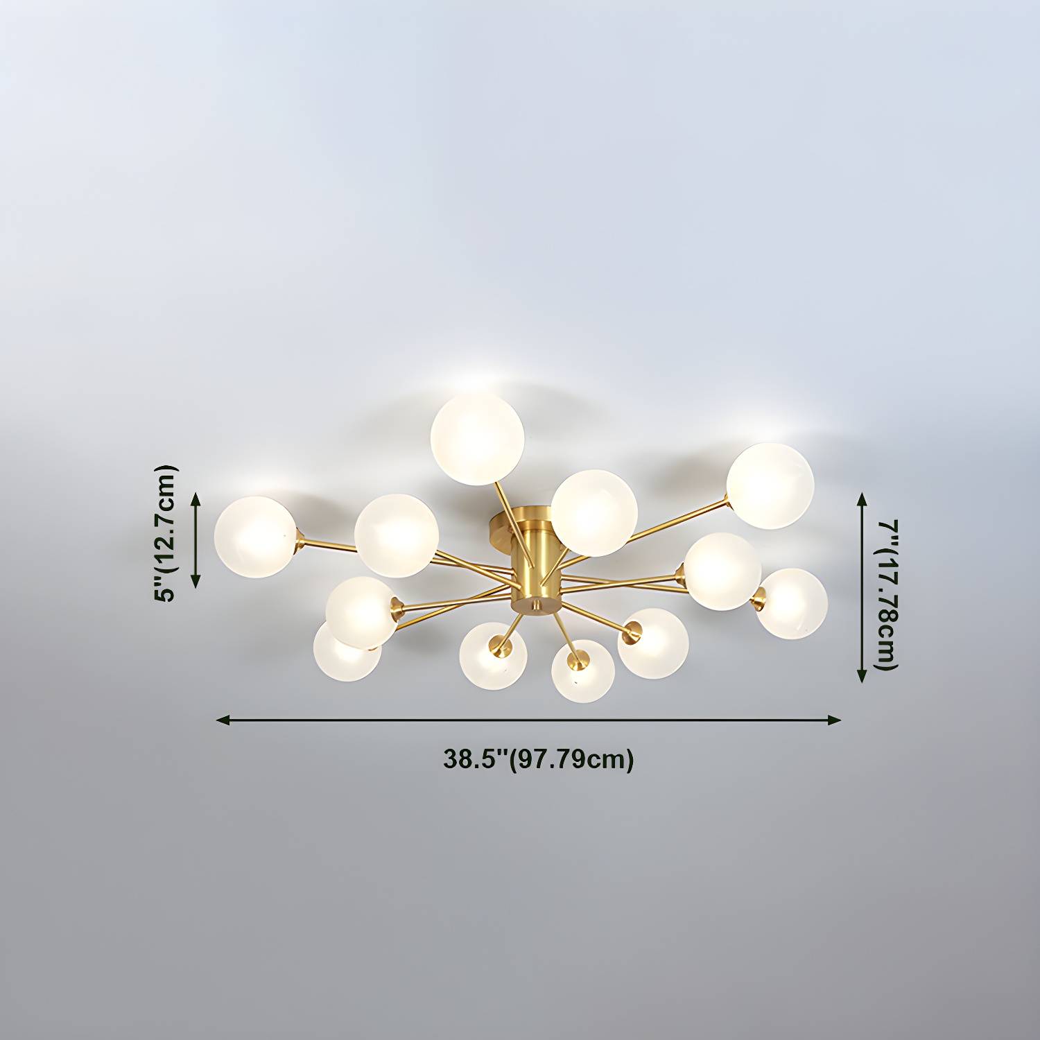 Imported image b707afd93849 4317879.jpg